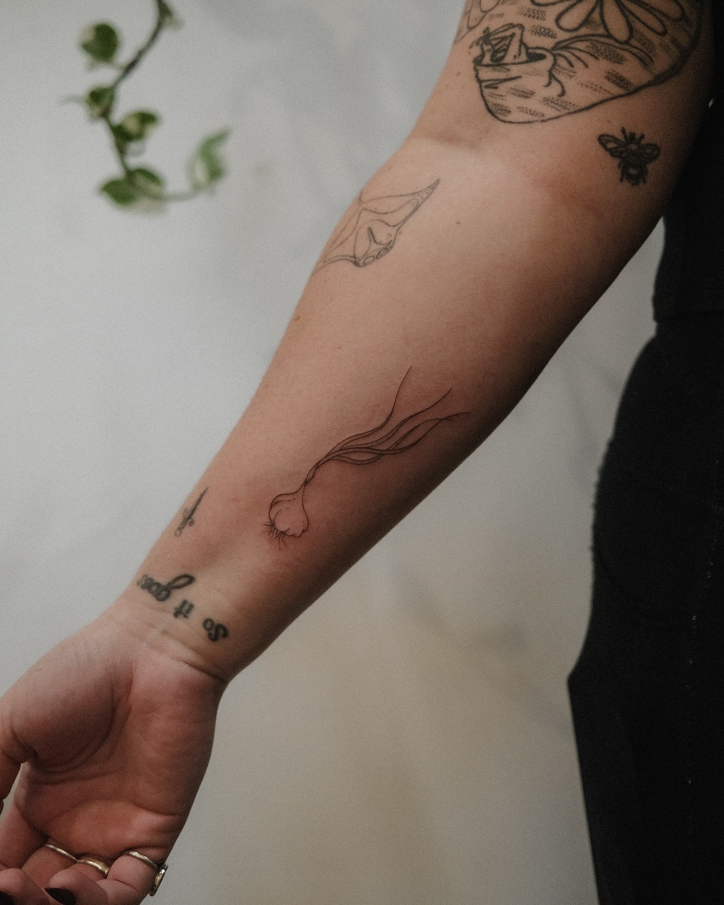Garlic will always be a f*** yes. Thank you for the trust Cassidy! 
&bull;
&bull;
&bull;
#garlic #tattoo #finelinetattoo #fineline #patchwork #flashtattoo #latattooartist #losangeles #femaletattooartist #tattooartist #denver #womenwhotattoo #guestart