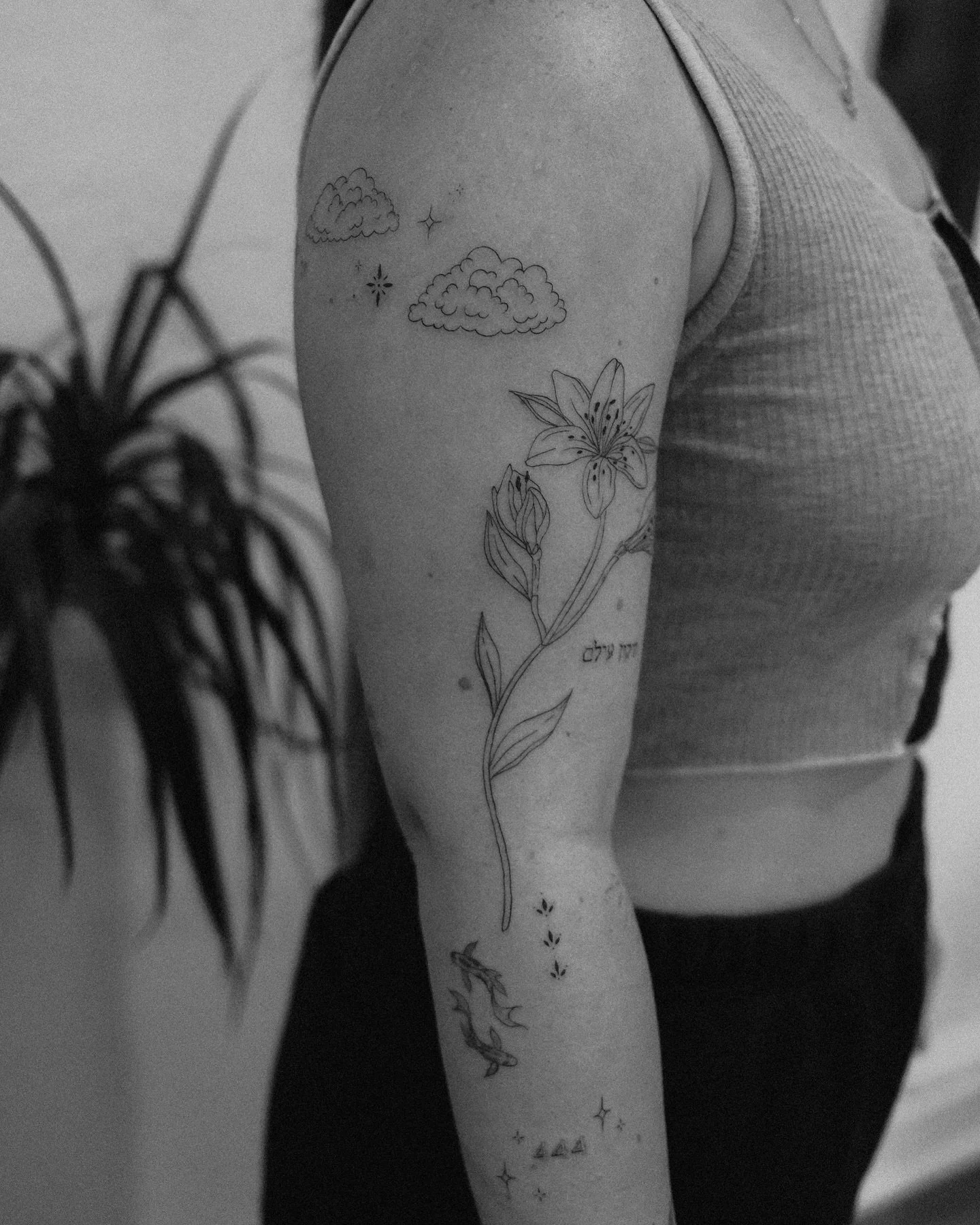 I have arm envy! This was such a dream and I have so much gratitude towards Sadie for trusting me and sitting like a baddie through all of this (and then some). So many cute new babies, oooo weeee! 

💌 @sadieschwarz 

&bull;
&bull;
&bull;
#denver #c