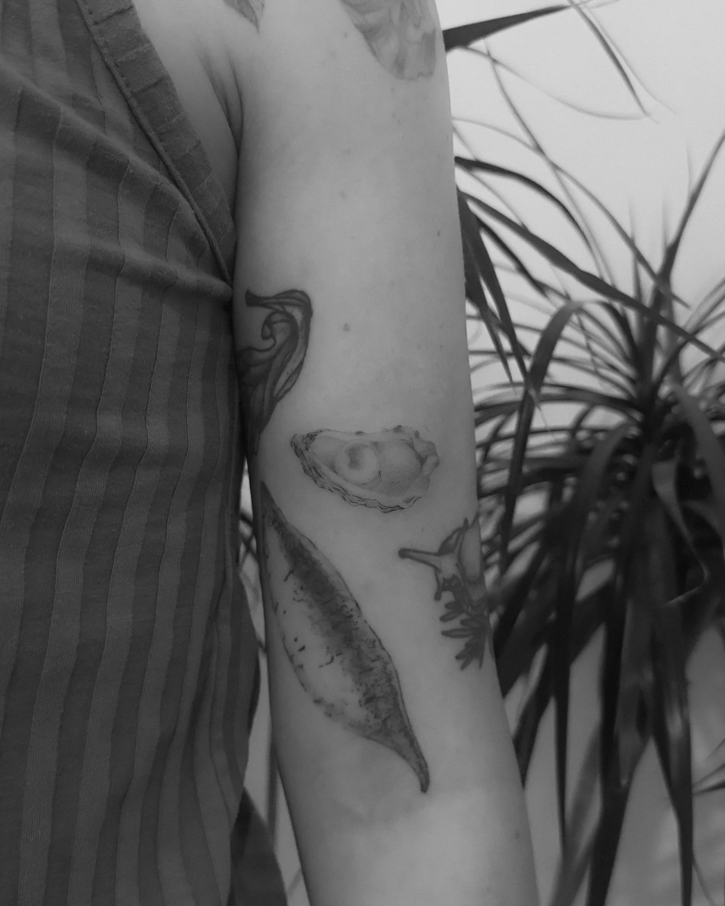 Chels, thank you for feeding me snacks and crossword puzzles 🤍 my heart is so full after last nights session

Flash oyster by me, all other work is by other artists

&bull;
&bull;
&bull;
#denver #colorado #losangeles #fineline #tattoo #tattooartist 