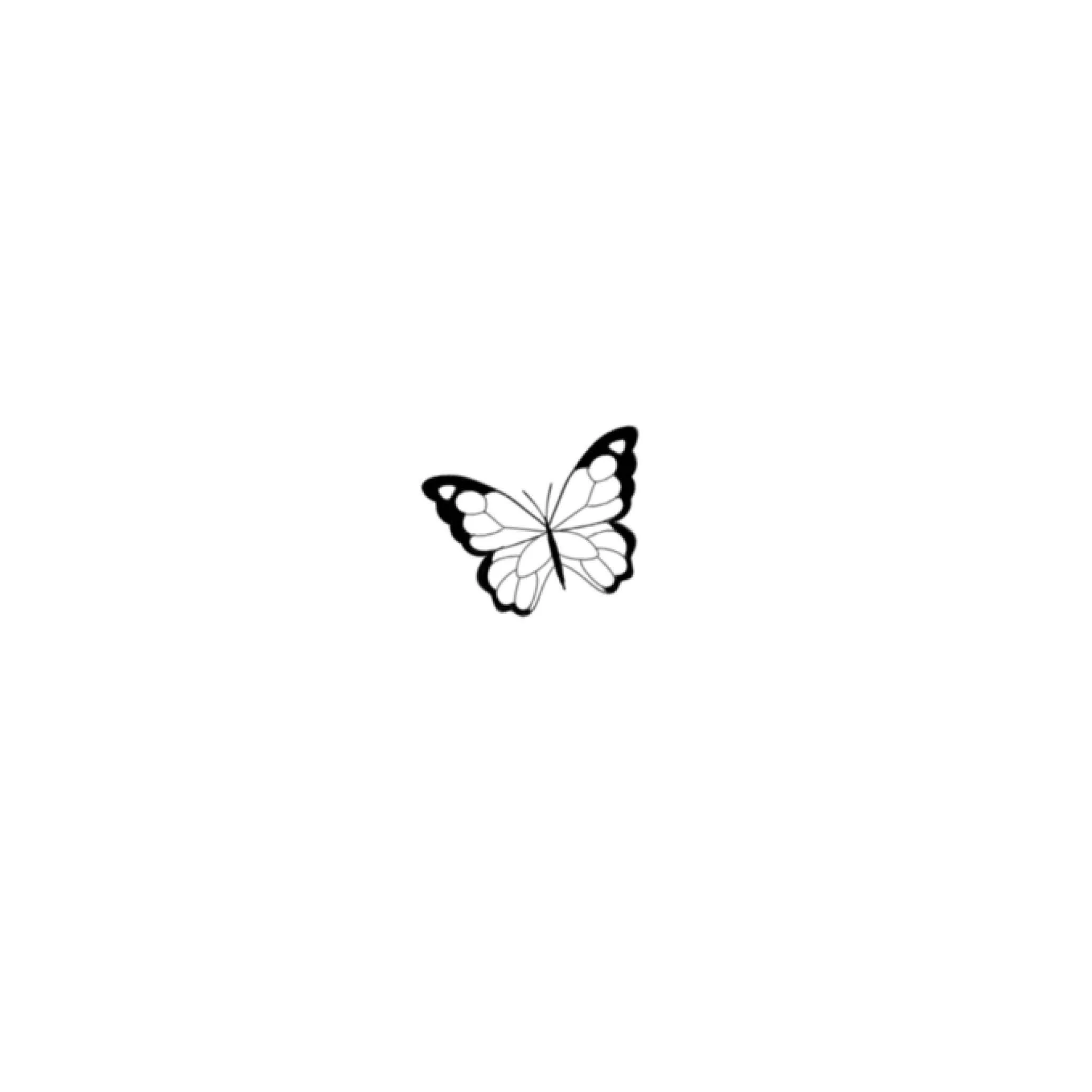 S54 