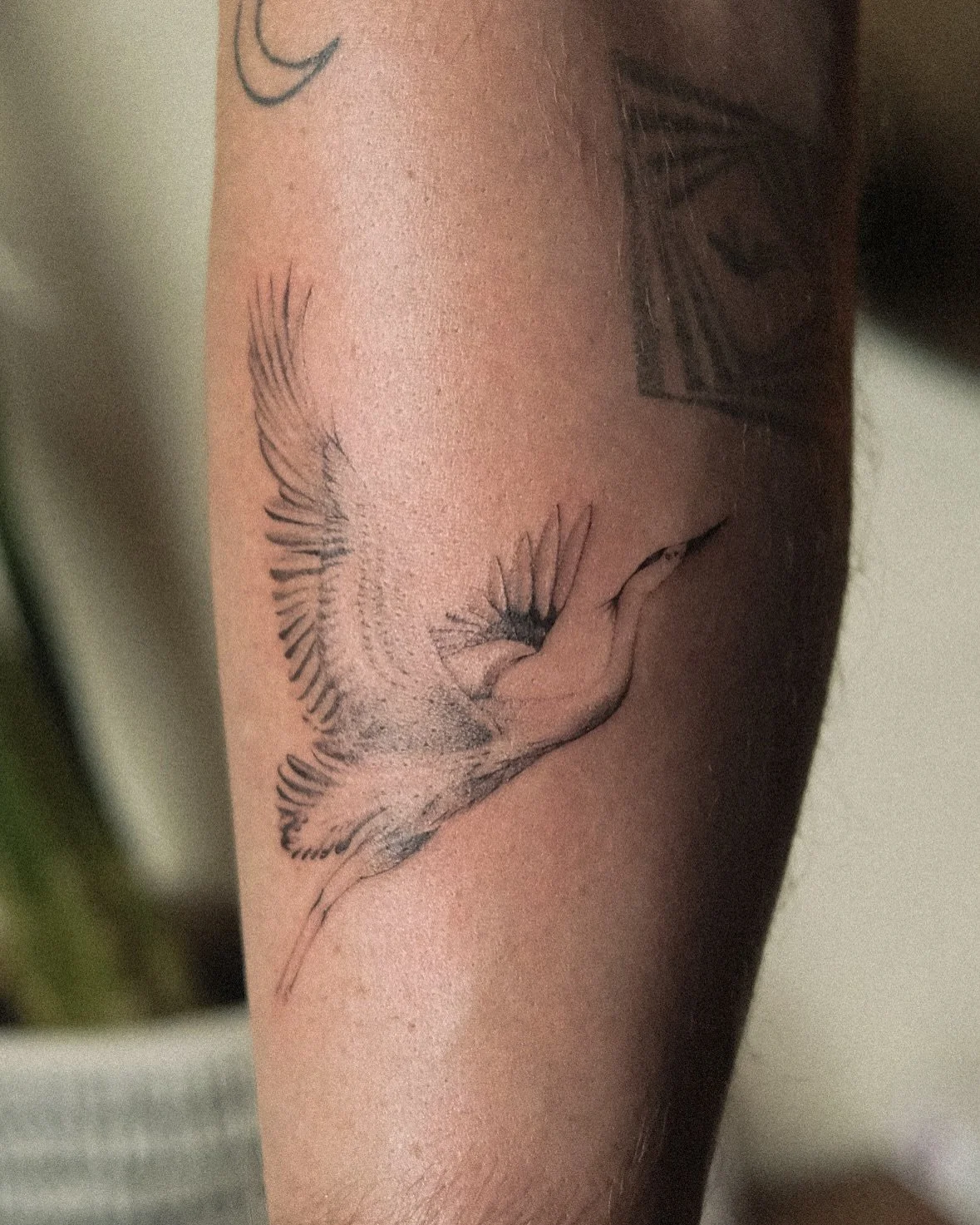 As of late 🤍
&bull;
&bull;
&bull;
#tattooartist #finelinetattoo #tattooart #tattoodesign #inkedgirls #lineworktattoo #tattooedwomen #tattooinspo #queencityink #denvertattooartist #latattooartist #tattoocollector #femaletattooartist #tattoostudio #ta