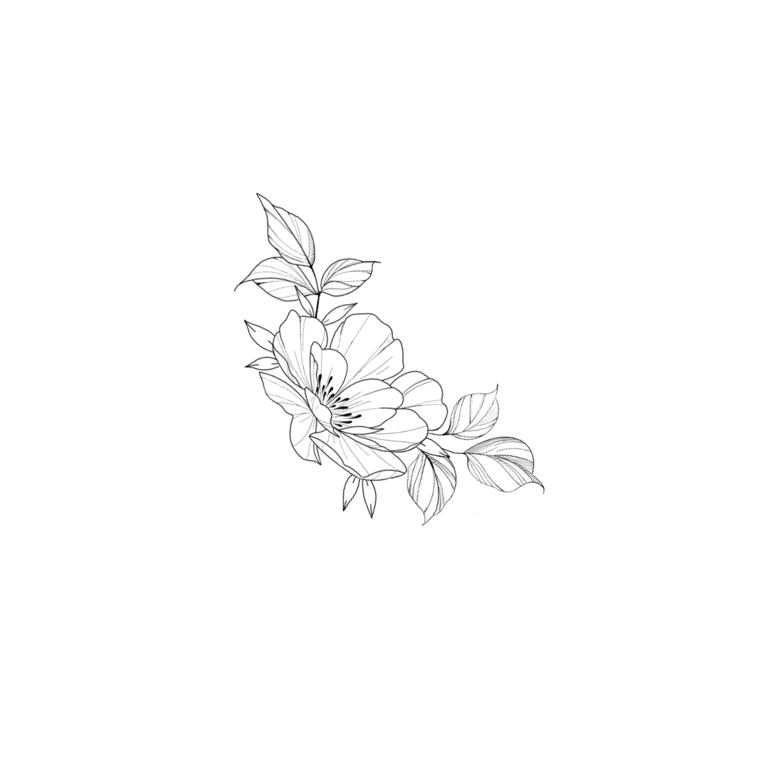 Line drawing of flowers and leaves on a plain background.