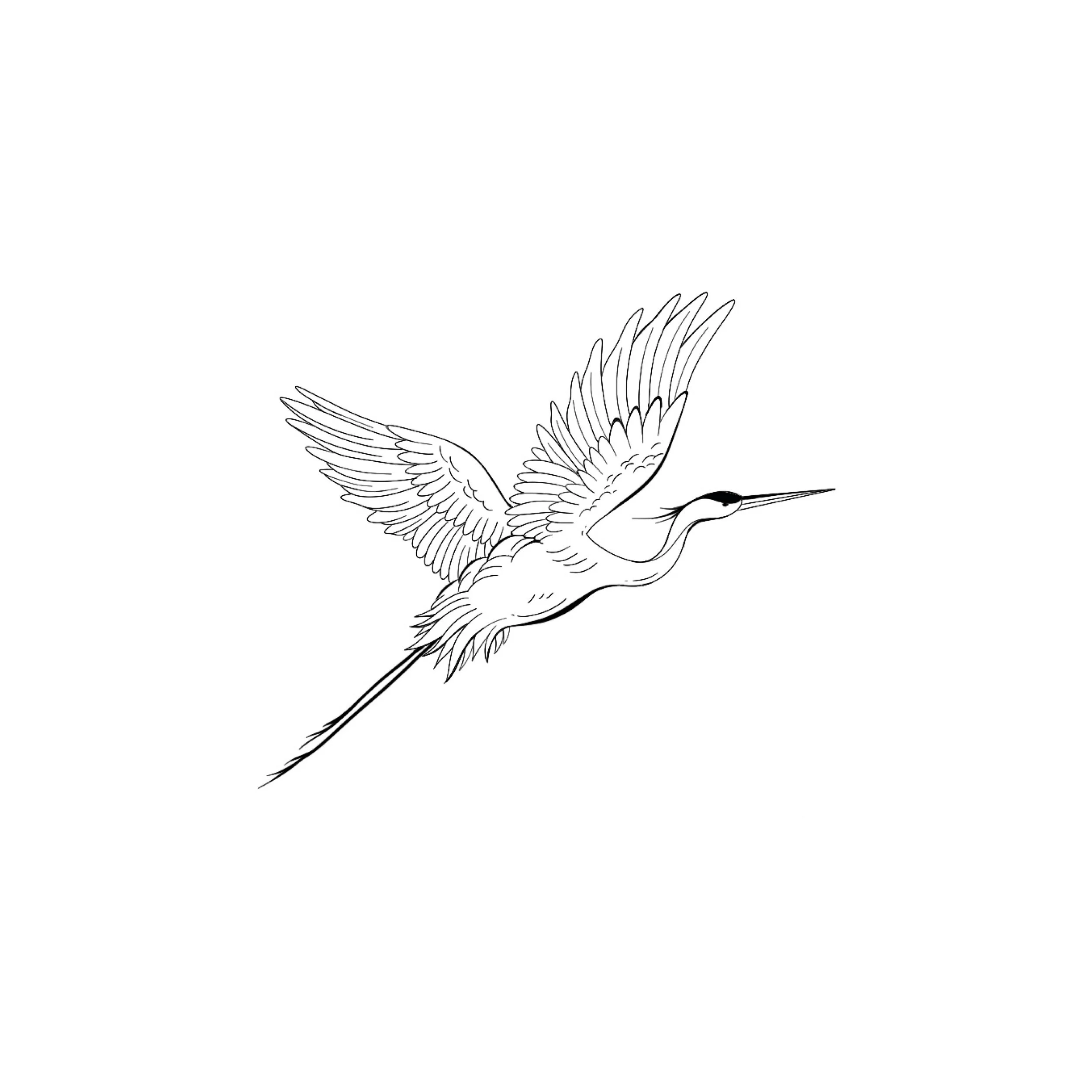 A black and white outline drawing of a flying bird, possibly a crane or heron, with detailed feathers and an extended beak.