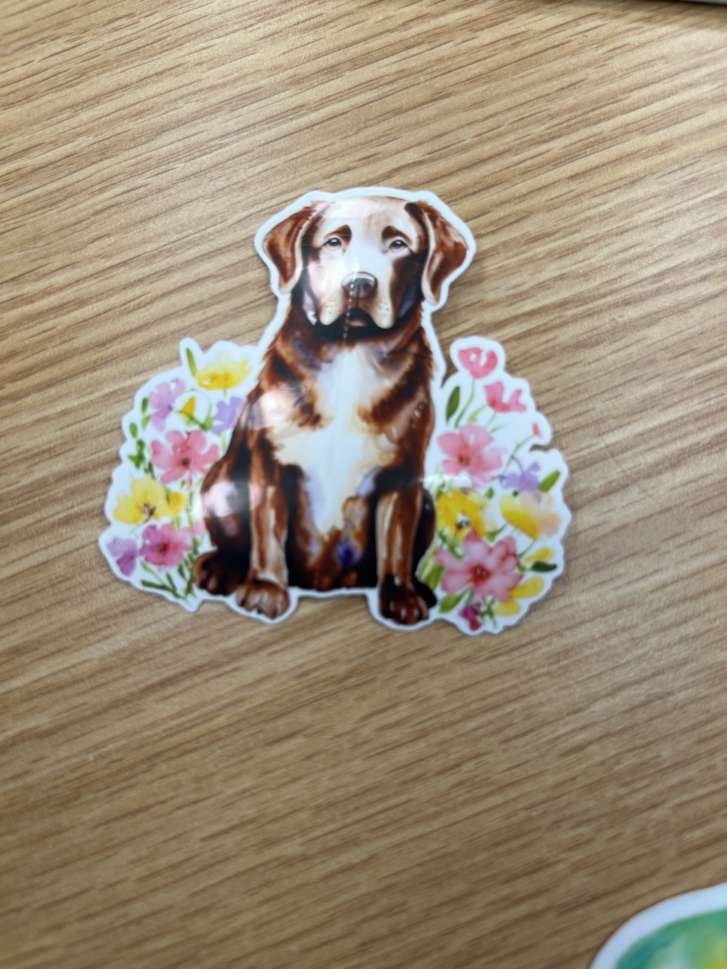Chocolate Lab Floral Sticker
