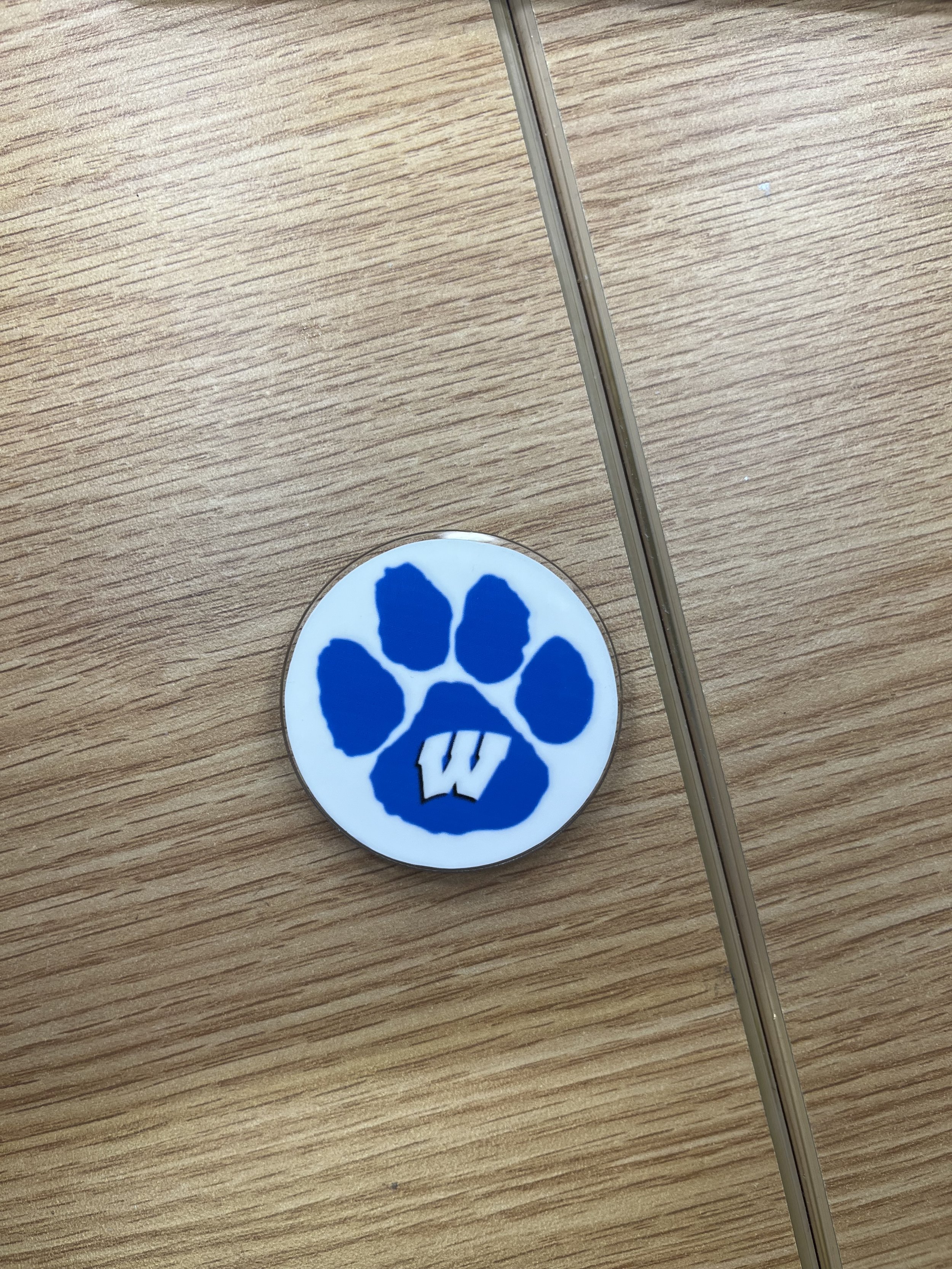 Wynford Paw Magnet