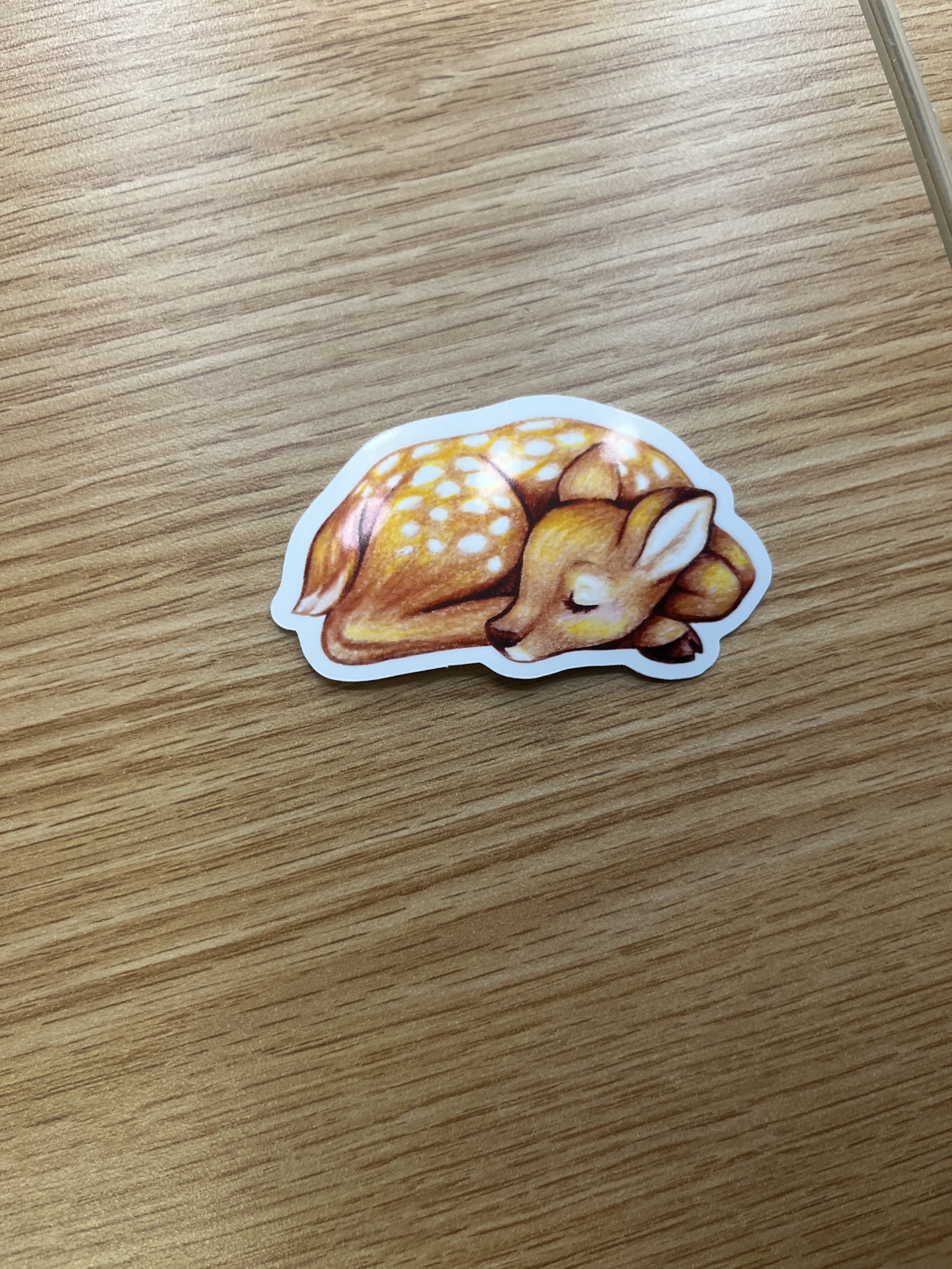 Sleeping Deer Sticker
