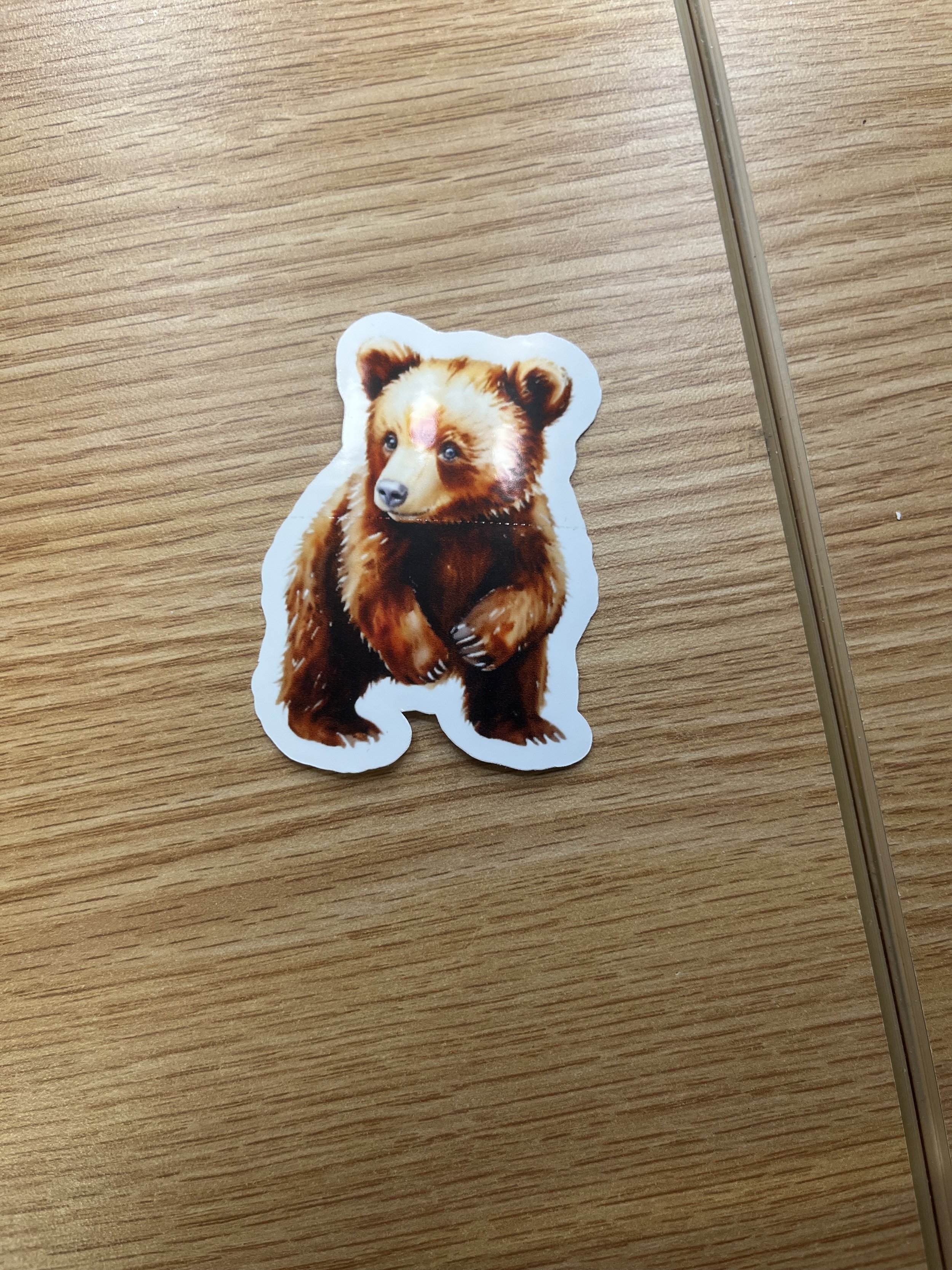 Brown Bear Cub Sticker
