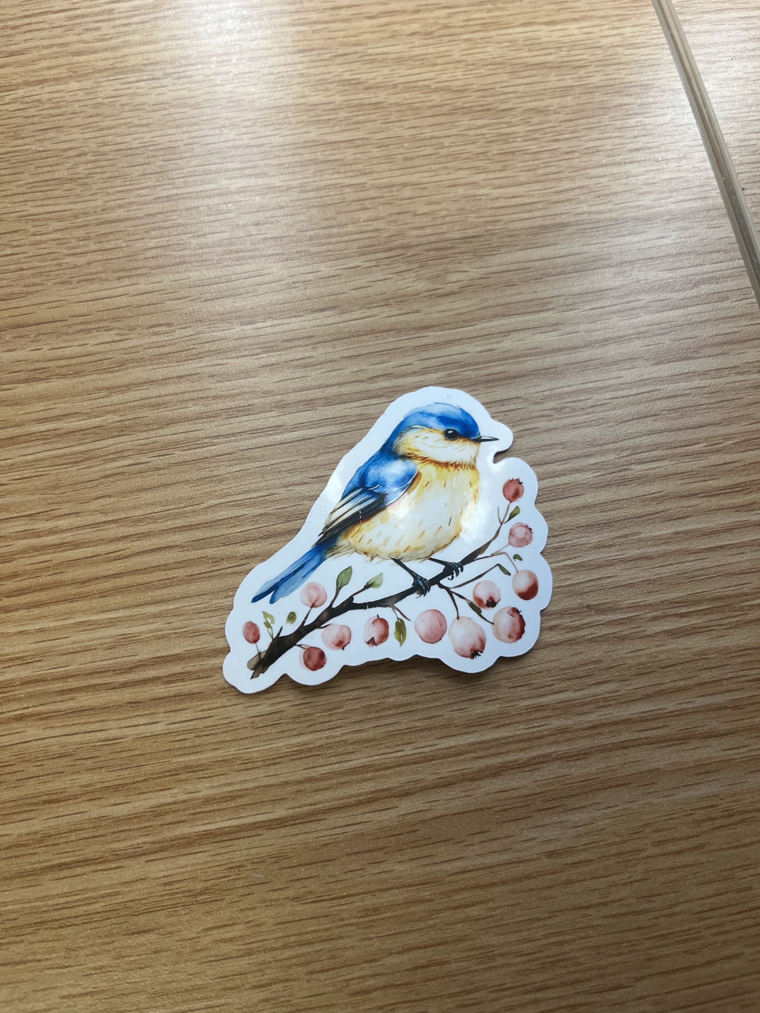 Eastern Blue Bird Sticker