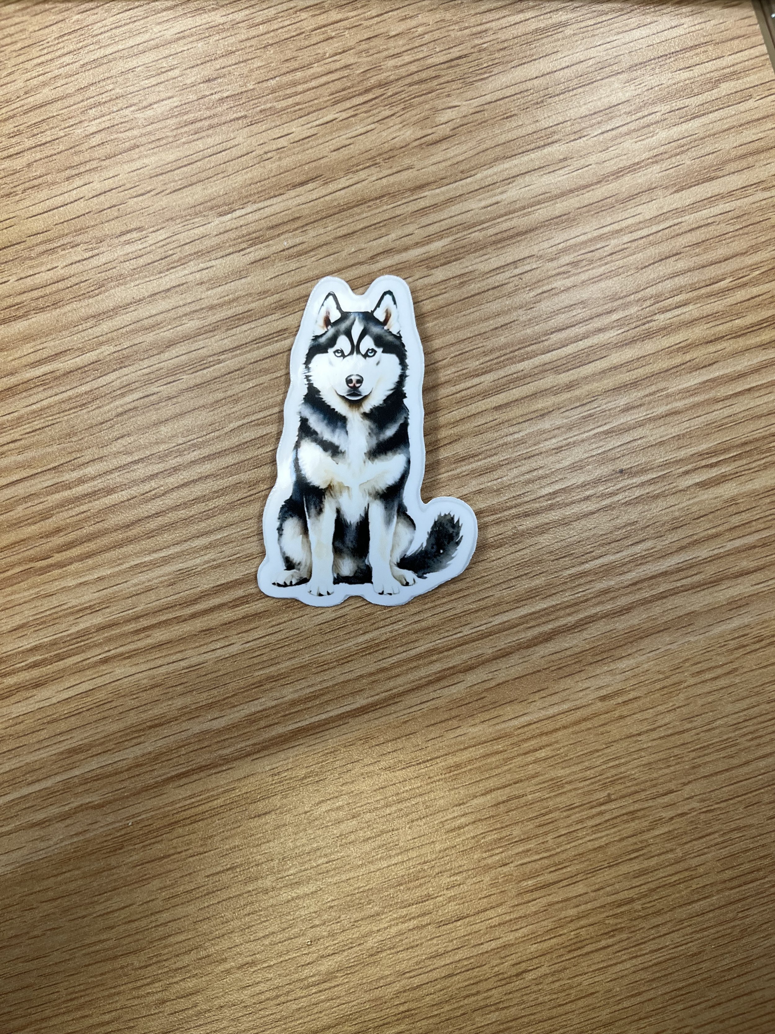 Husky Sticker