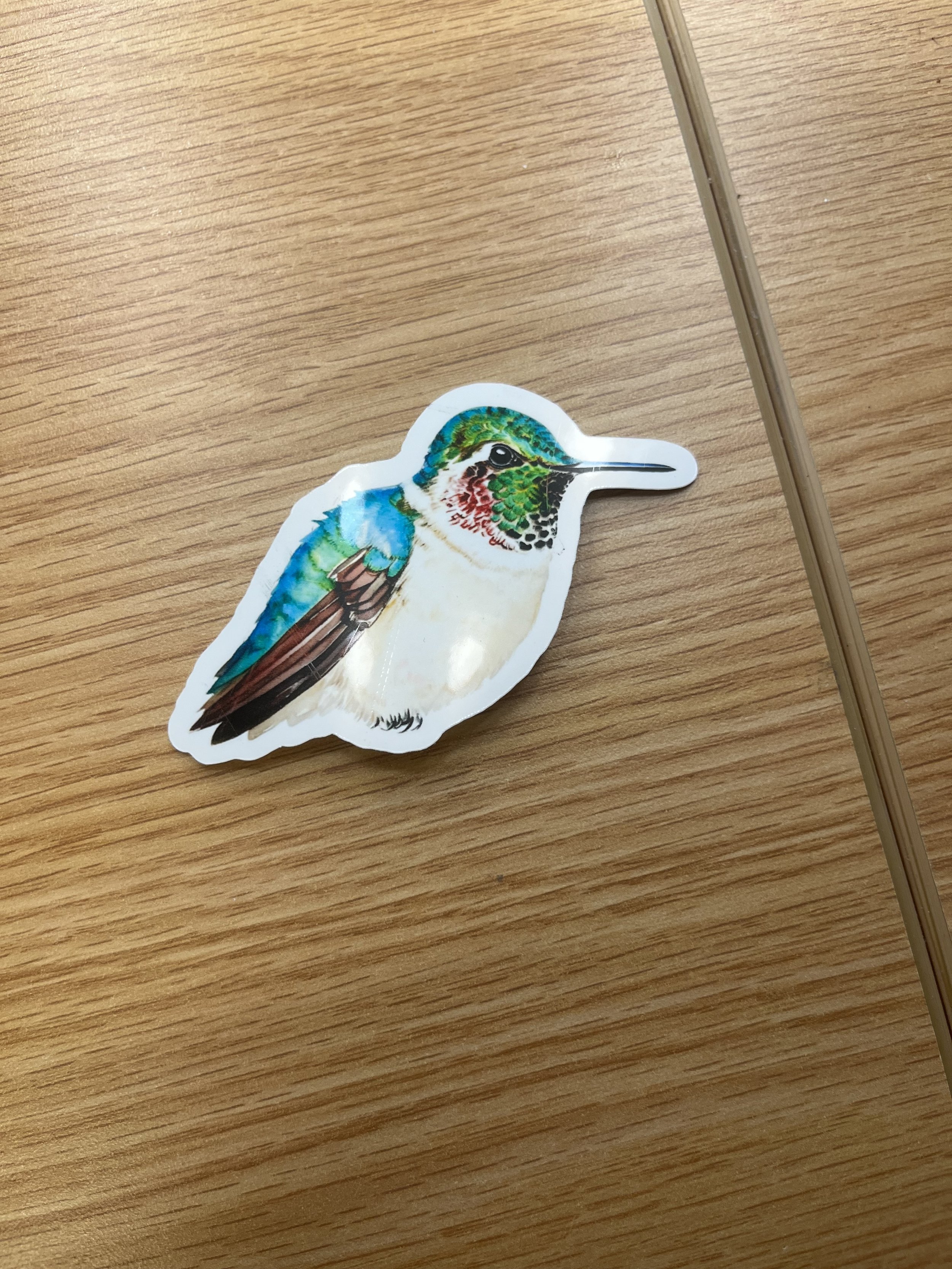 Hummingbird Sticker