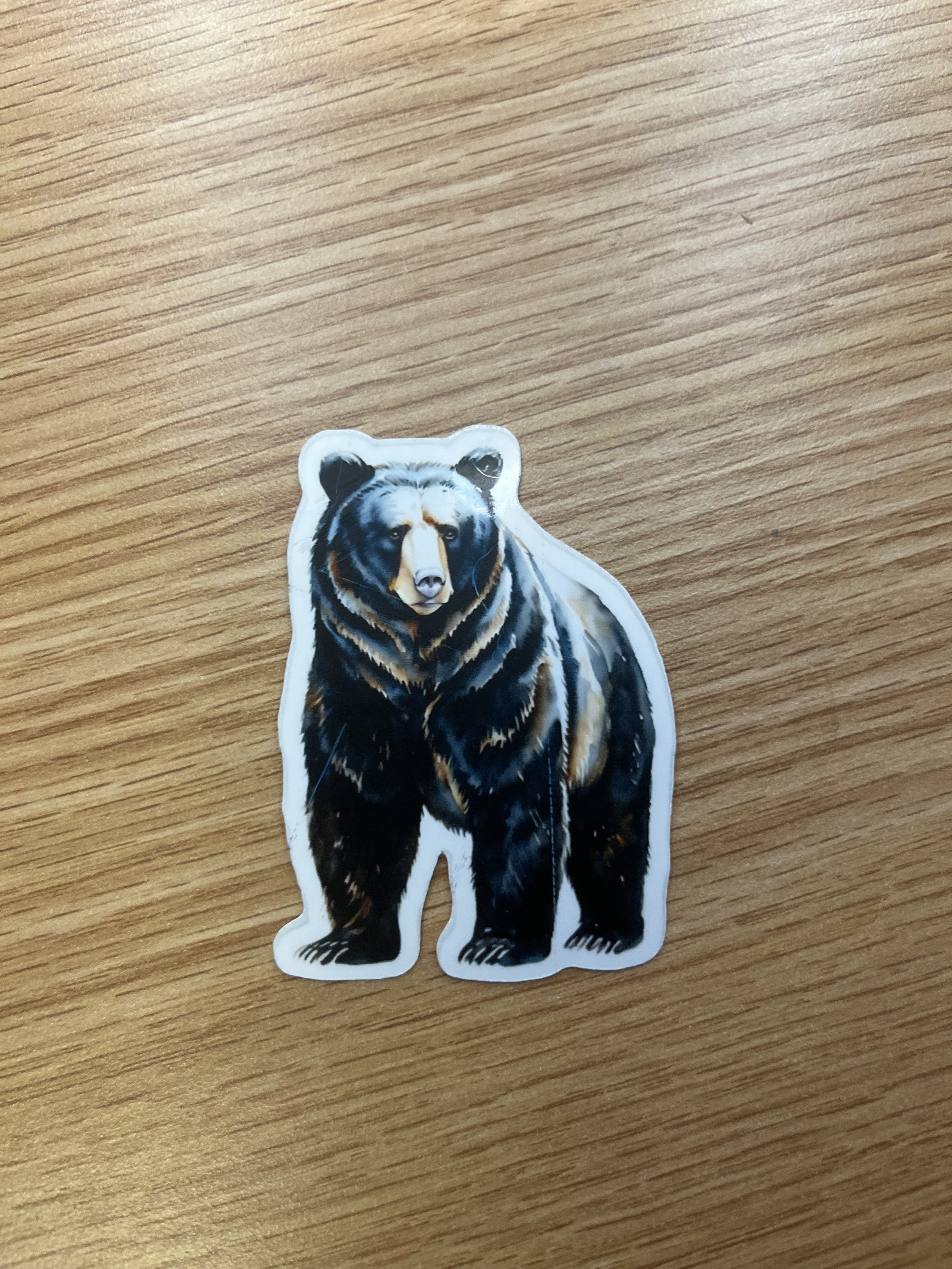 Black Bear Sticker