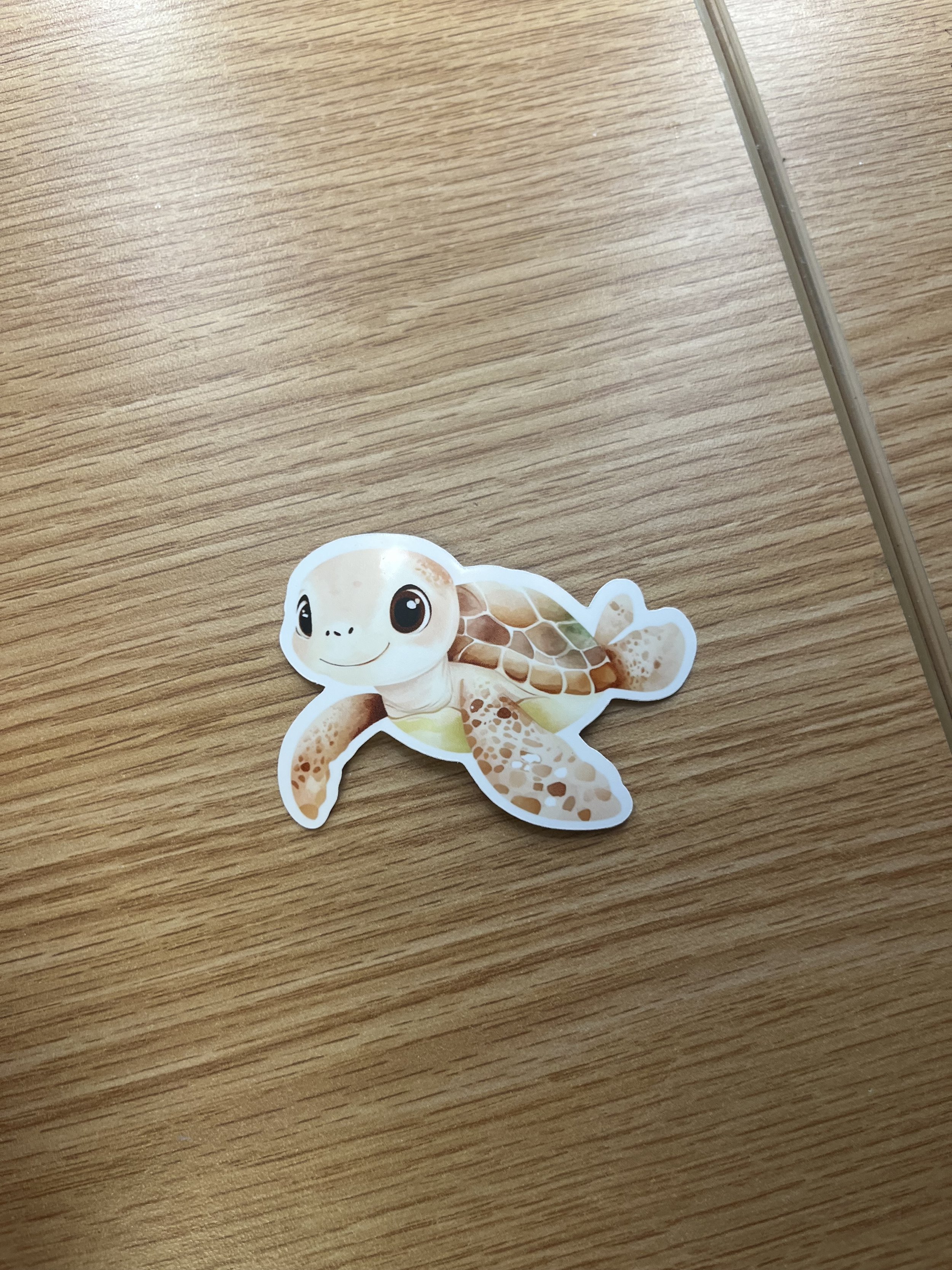 Cartoon Turtle Sticker
