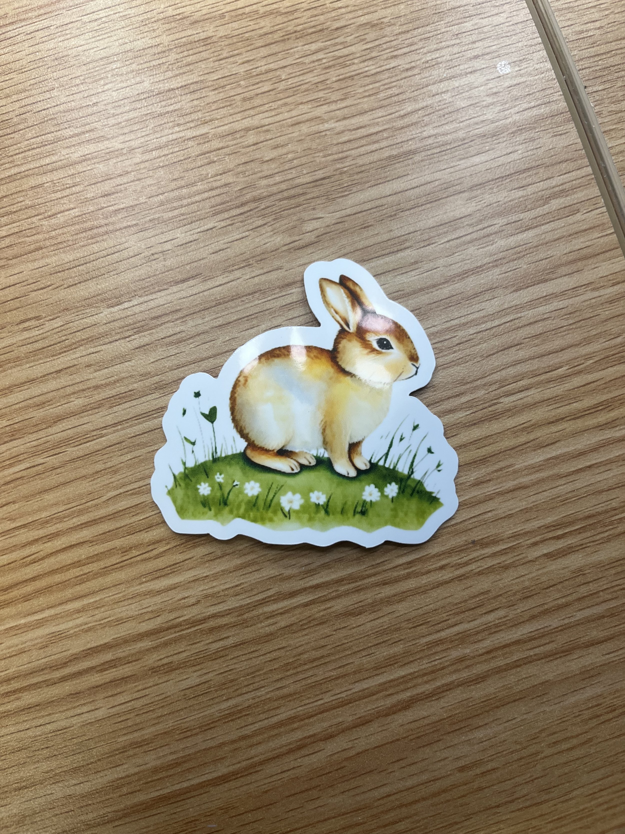 Rabbit Sticker