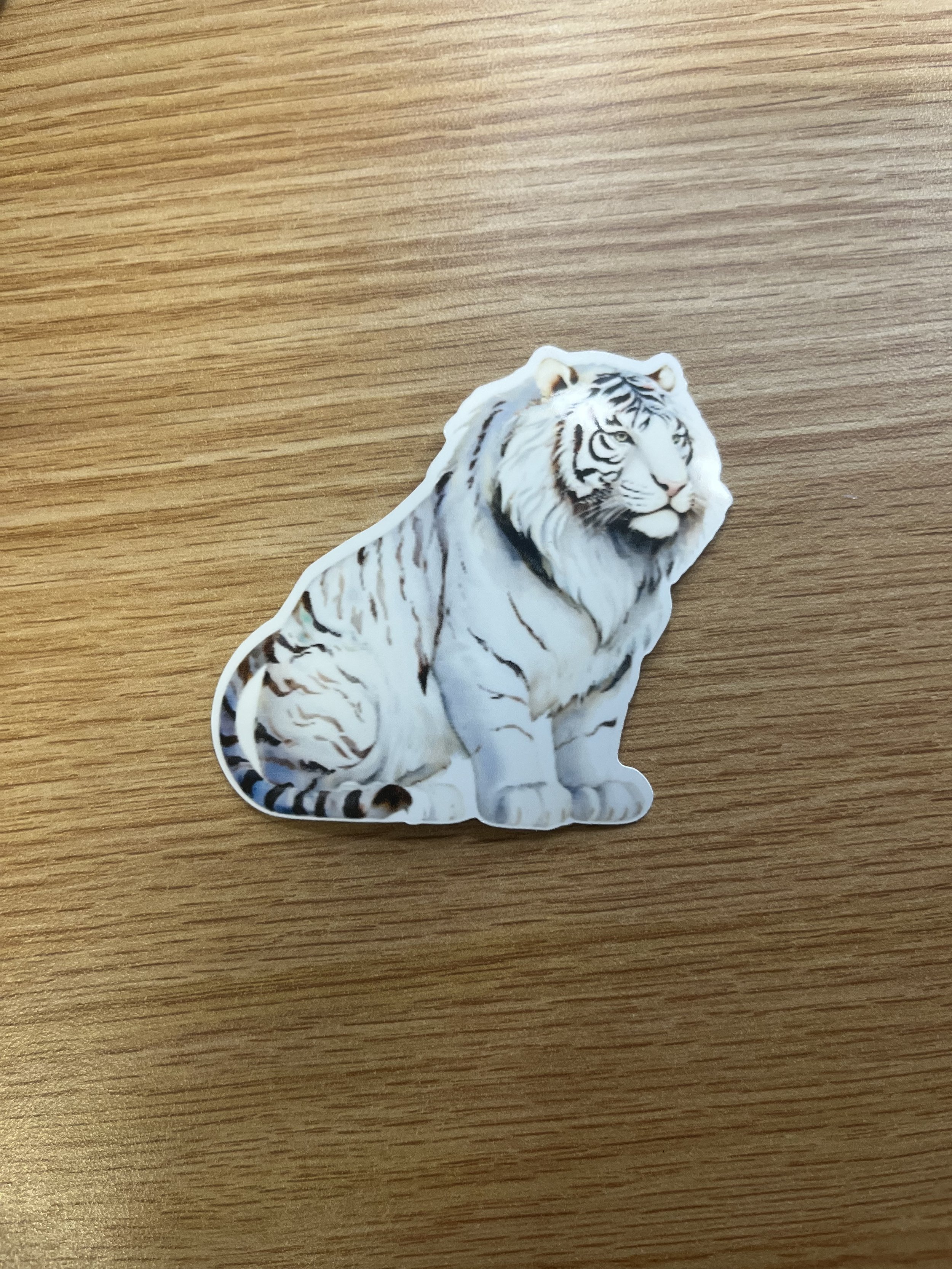 White Bengal Tiger Sticker