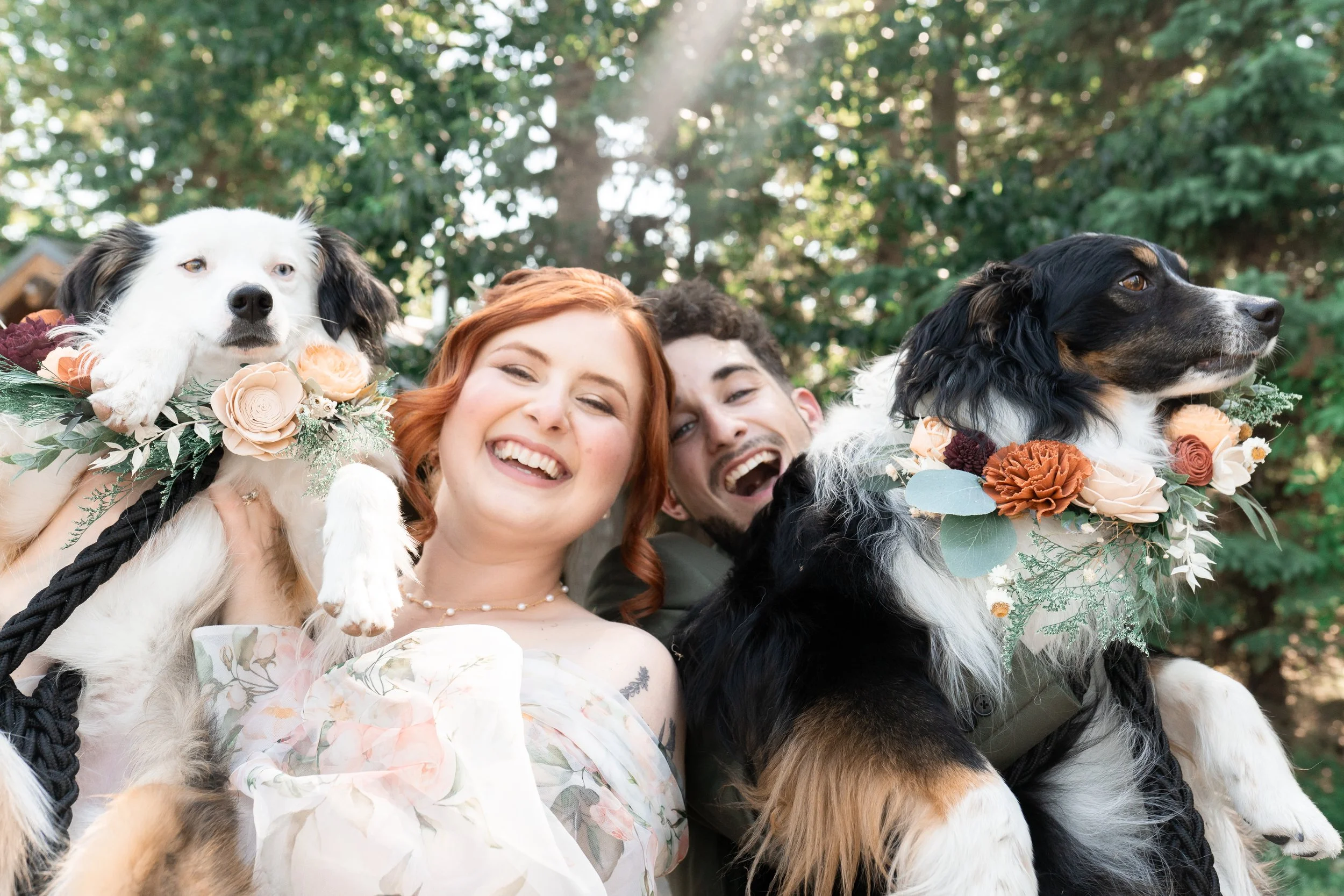 couple-holding-dogs-pet-friendly-outdoor-wedding-alberta.jpg