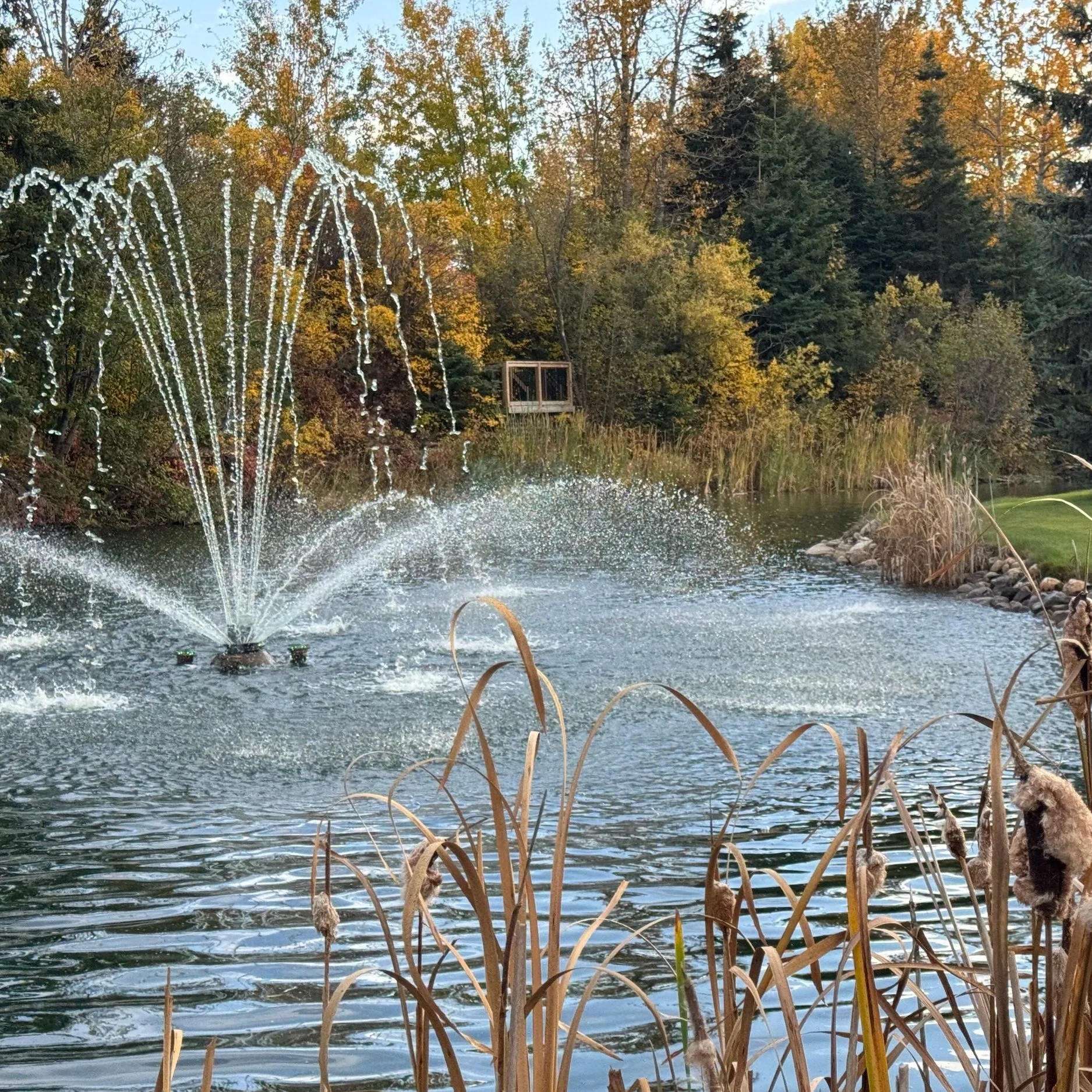 5 Outdoor Wedding Planning Mistakes You Can Easily Avoid