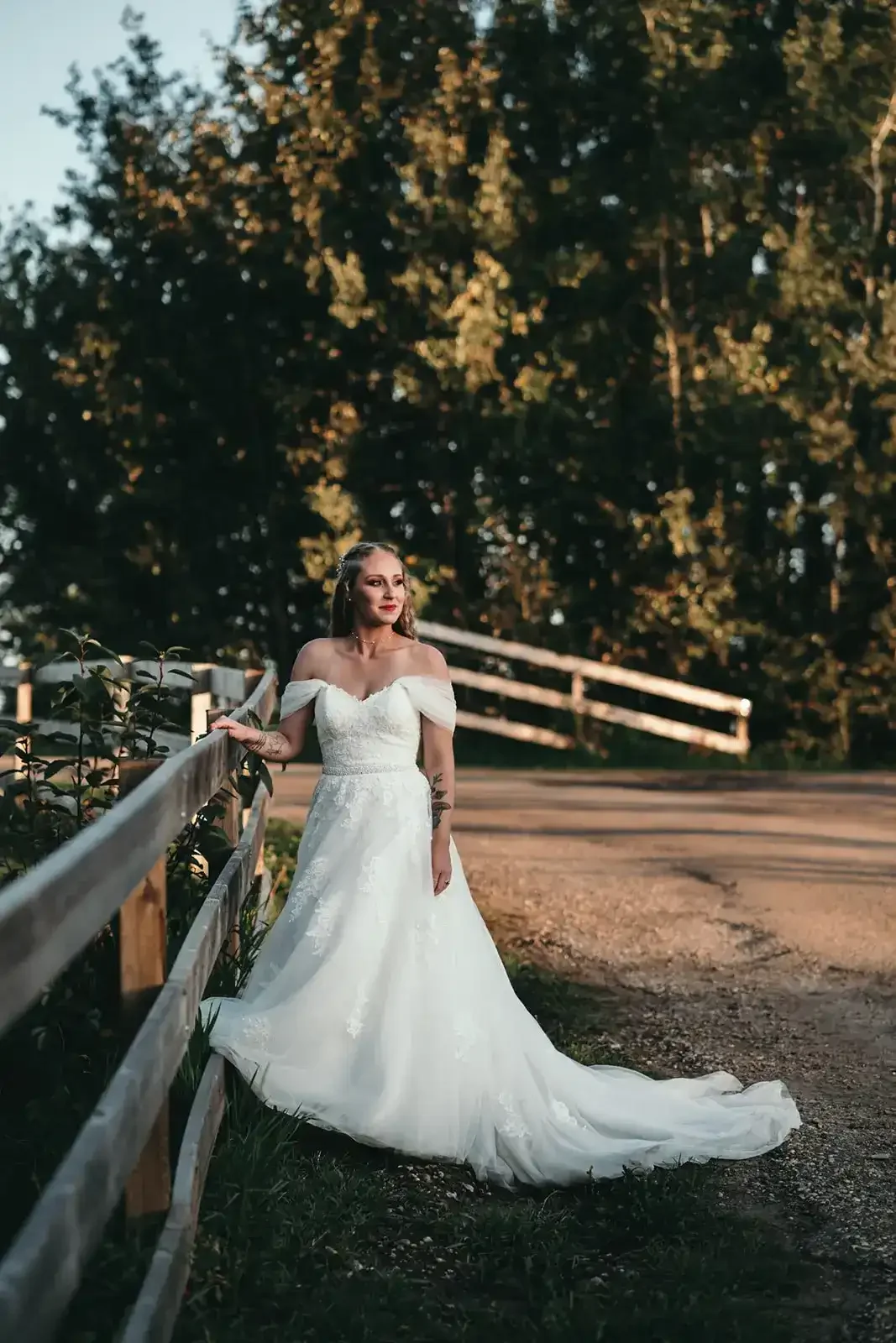 pine-and-pond-wedding-bride-golden-hour-fence-central-alberta.webp