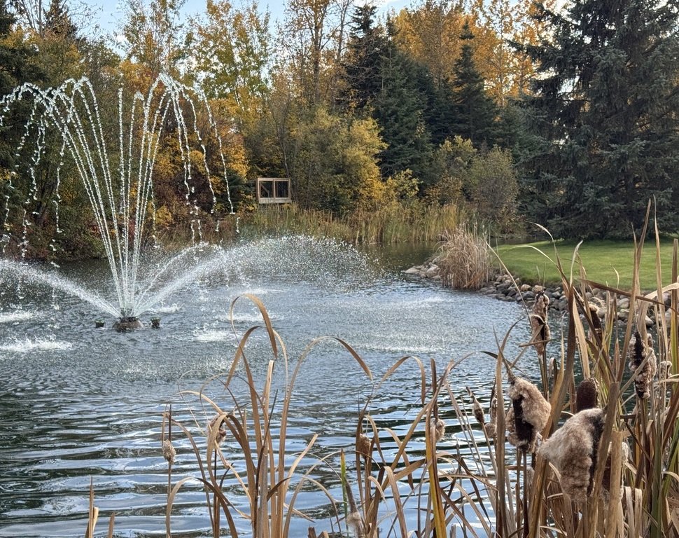 The Difference Between a Pretty Outdoor Venue and a Professional One