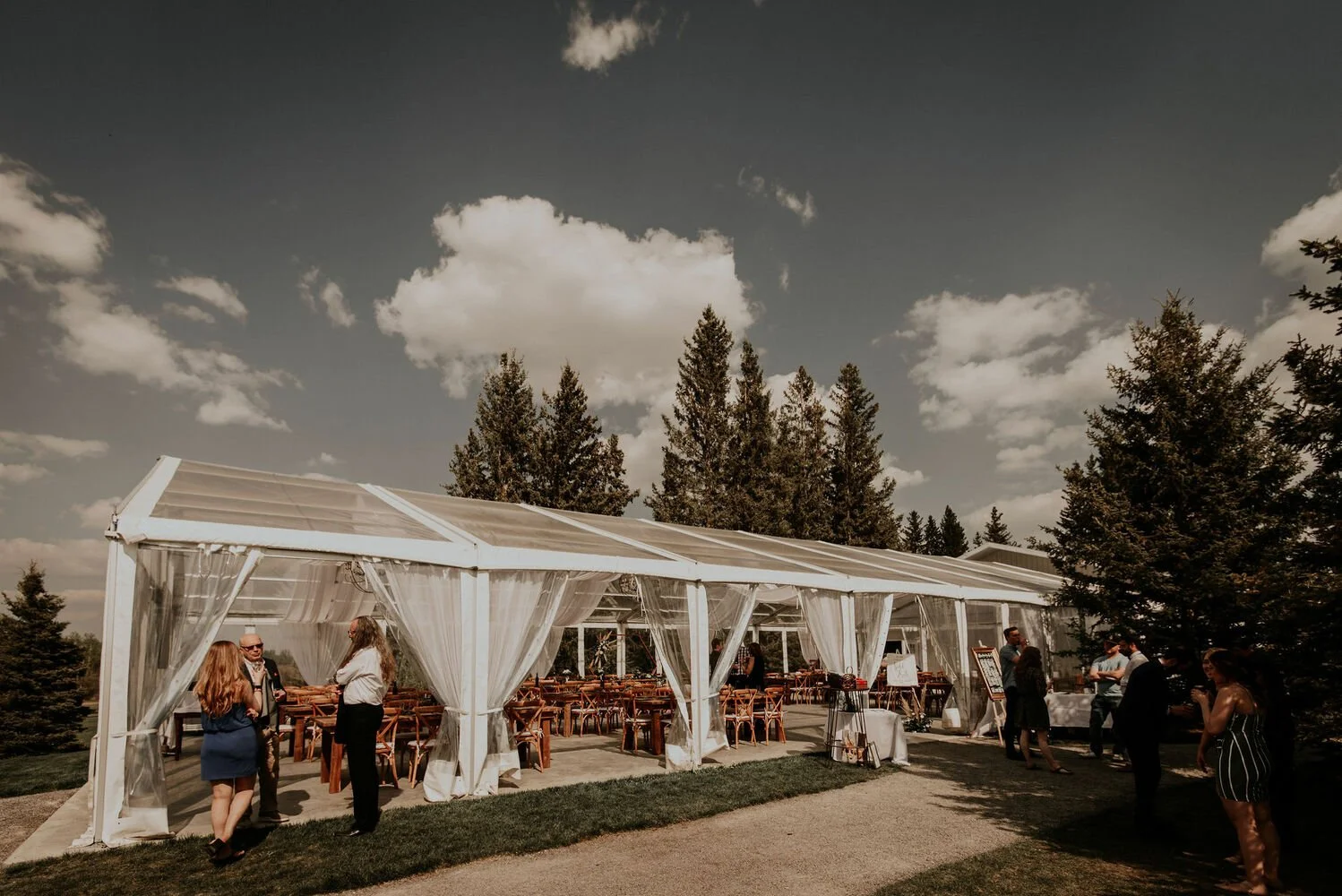 A stunning clear-top wedding tent stands open on a sunny day, surrounded by tall evergreens and blue skies. Sheer white drapes frame the entrance while wooden cross-back chairs and elegant décor fill the reception space inside. Guests mingle outside 