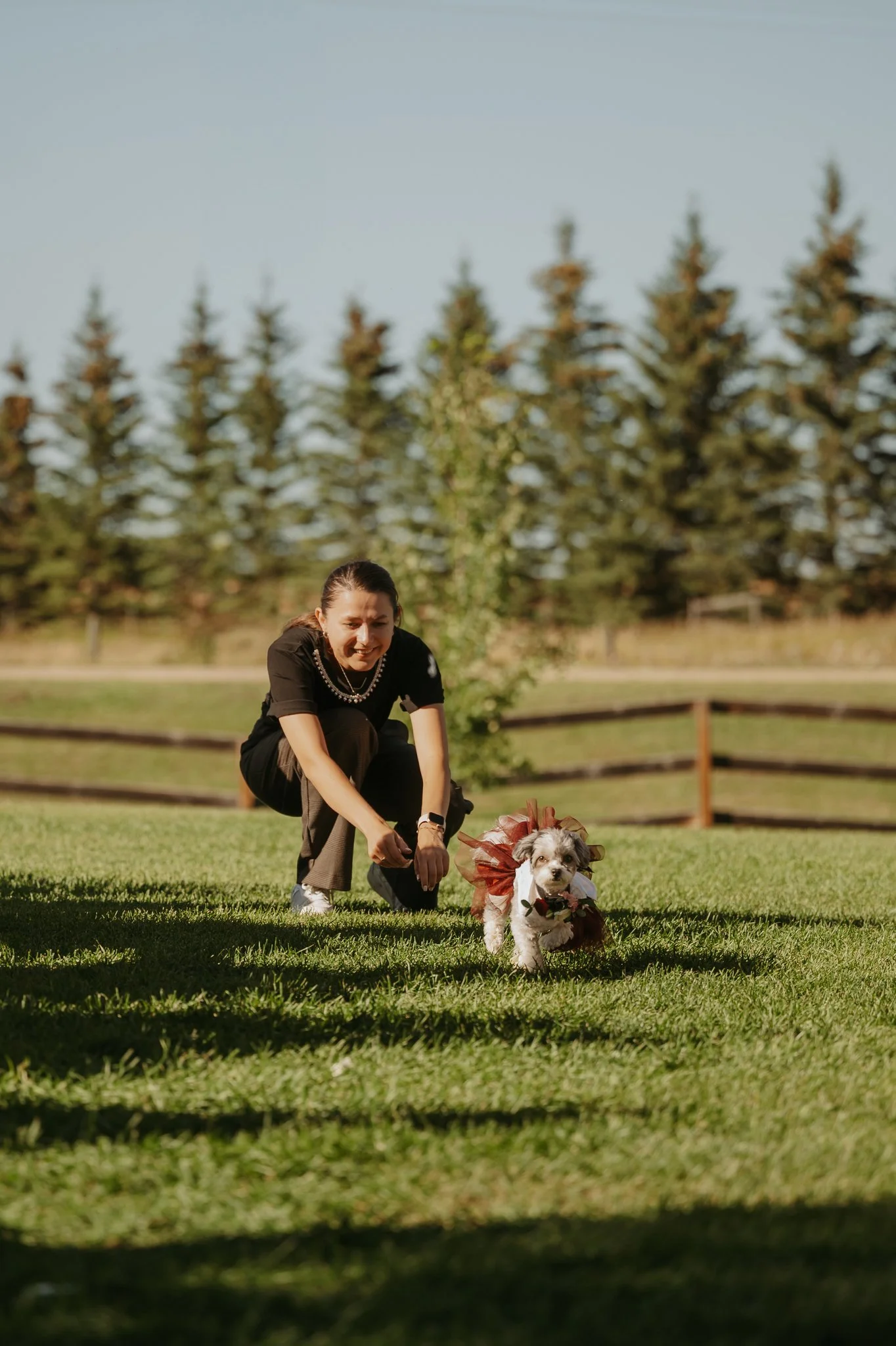 dog-wedding-ceremony-pet-friendly-venue-central-alberta.jpg
