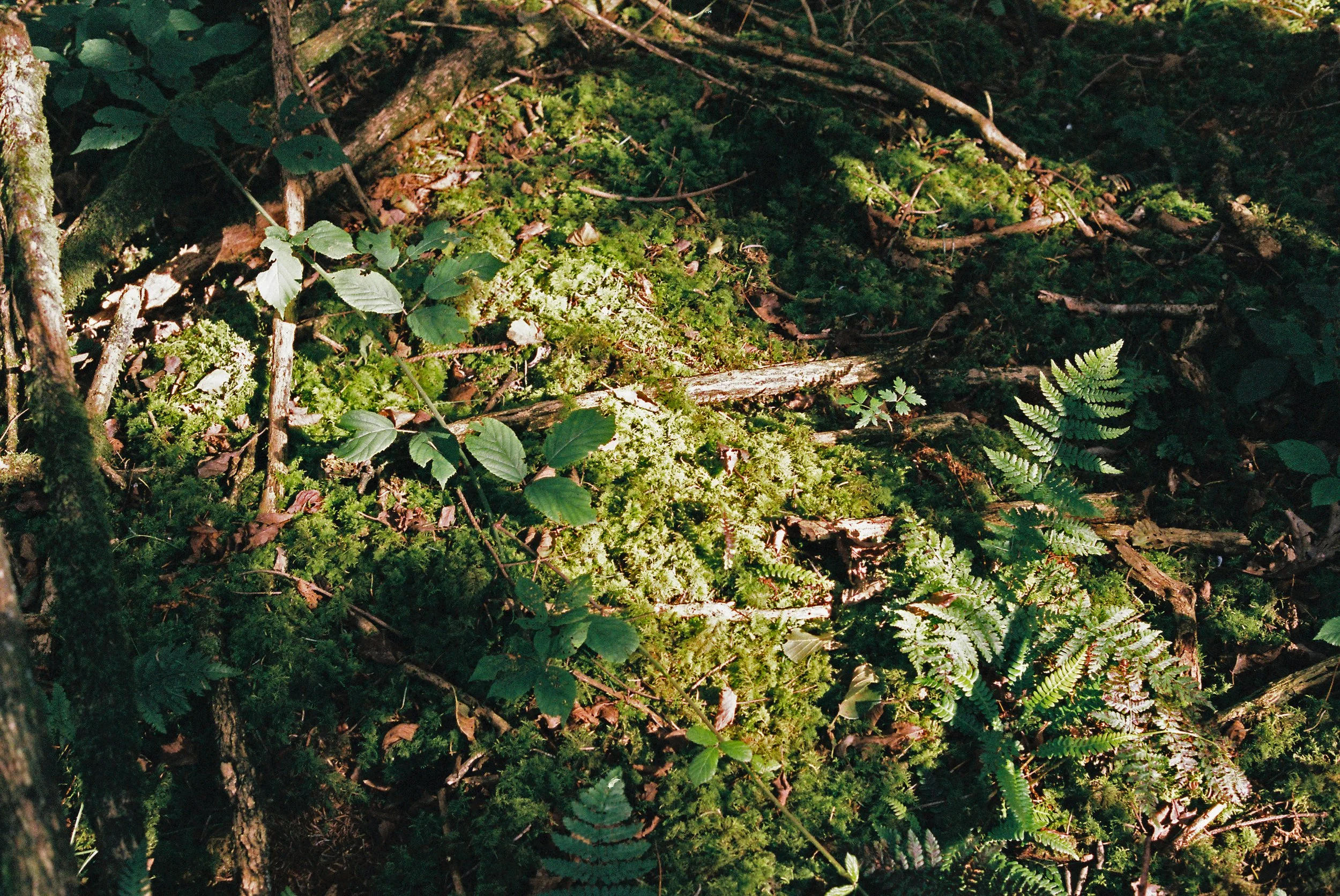 I'll be back for good,  Color Film  2020