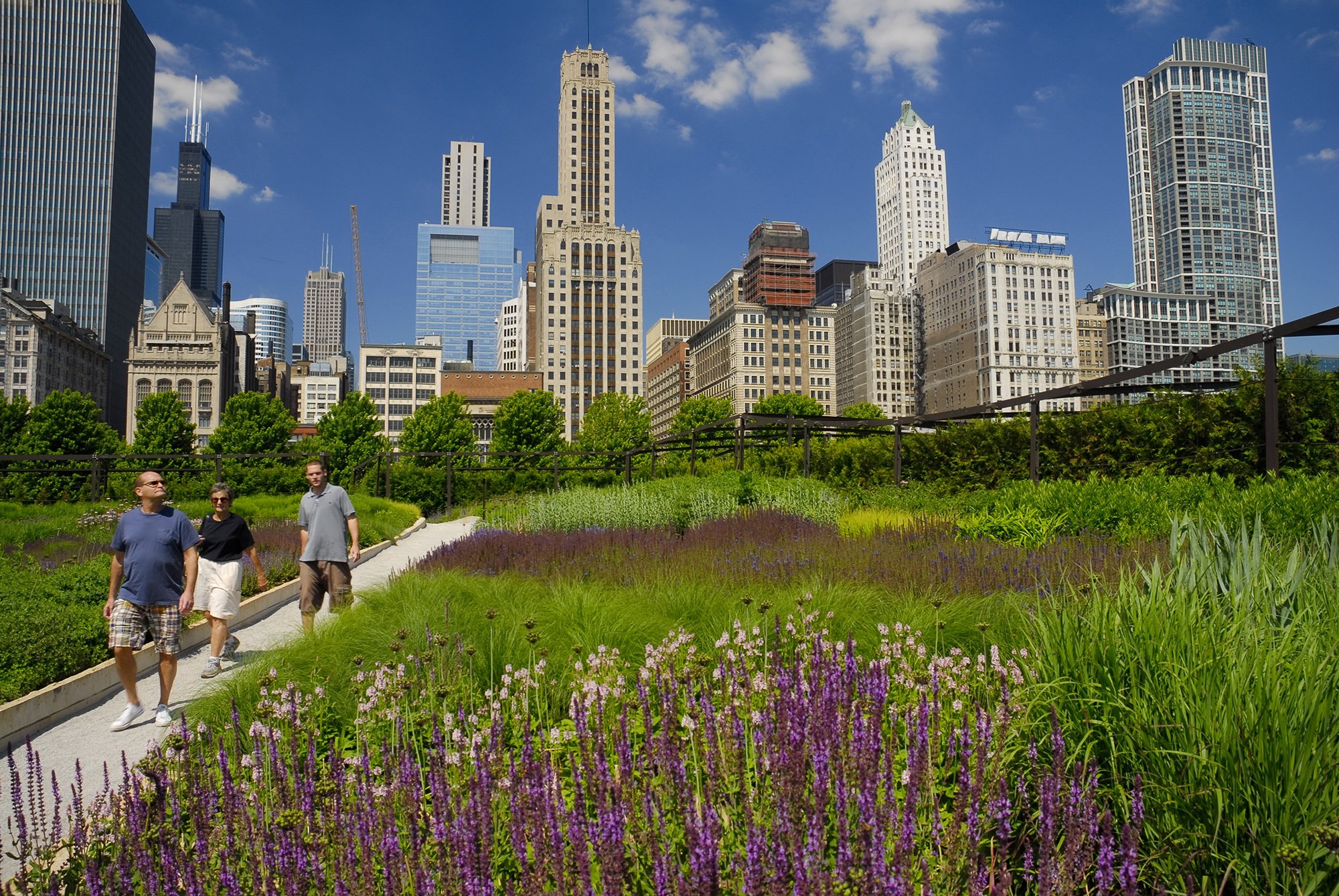Lurie Garden