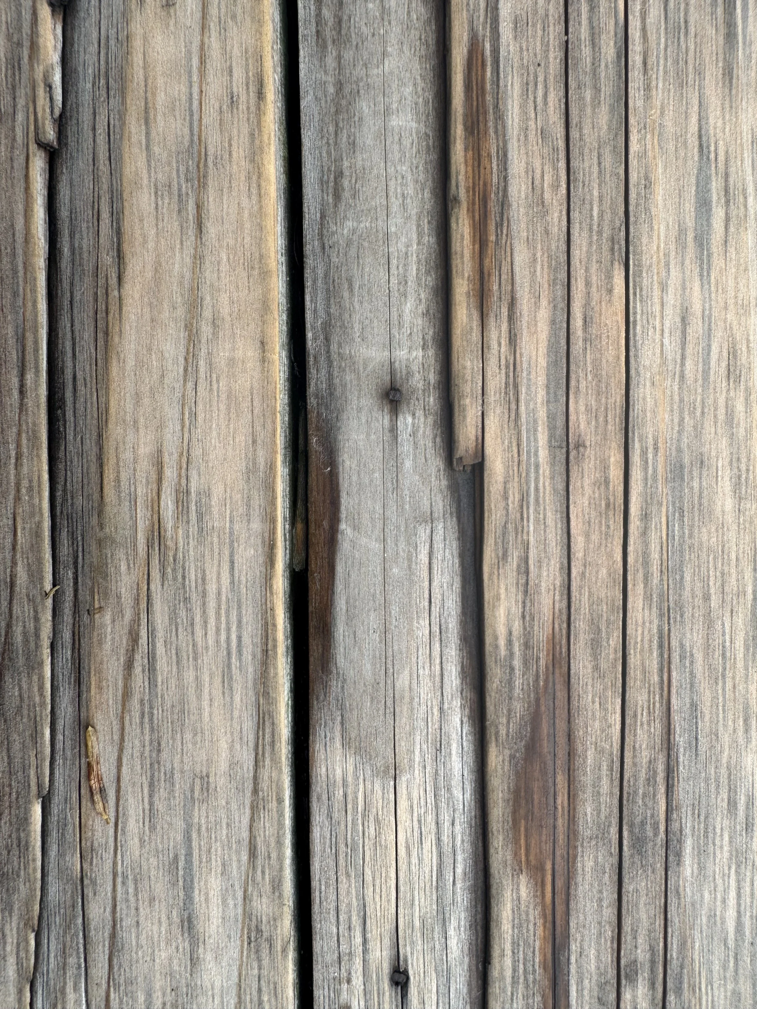 IMG_4742.jpeg