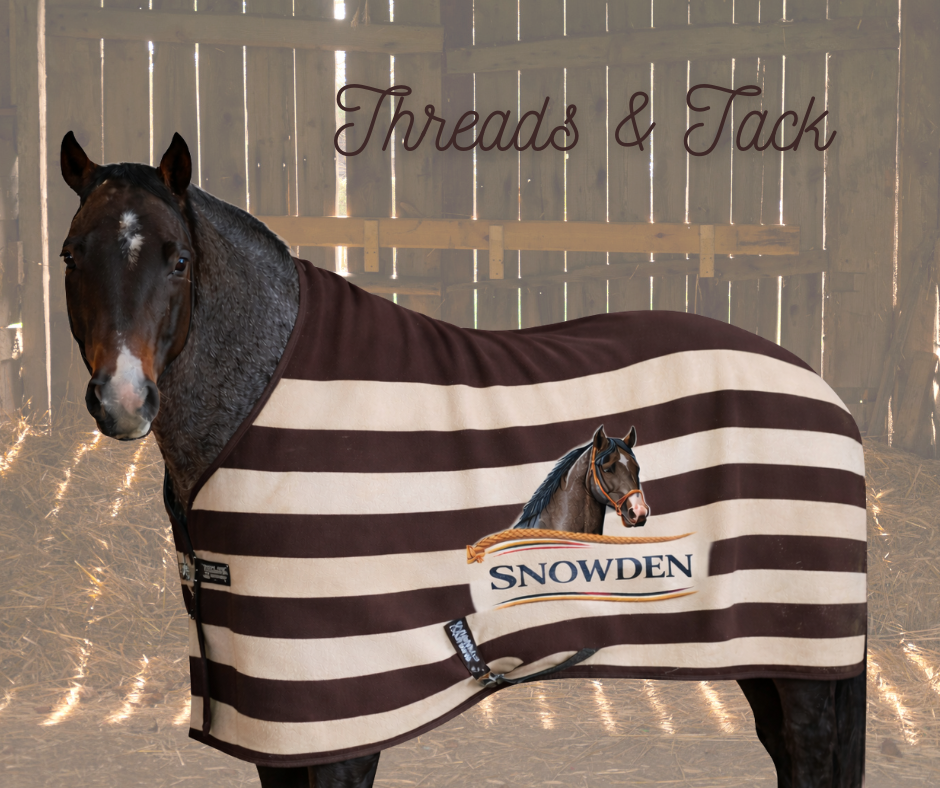 Horse blanket with your horses name and image
