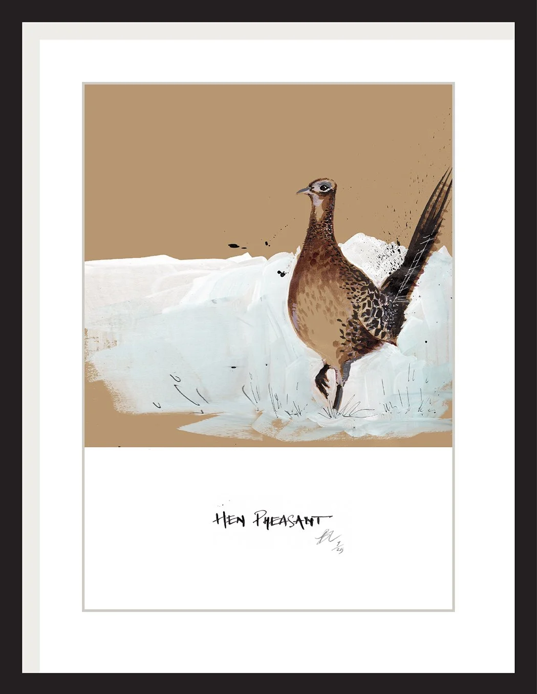 HEN PHEASANT.jpg