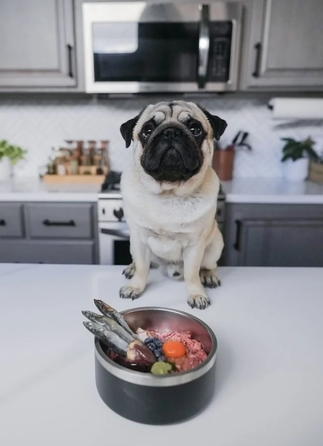 One of the Biggest Things My Dog’s Bowl Doesn’t Contain: Glyphosate