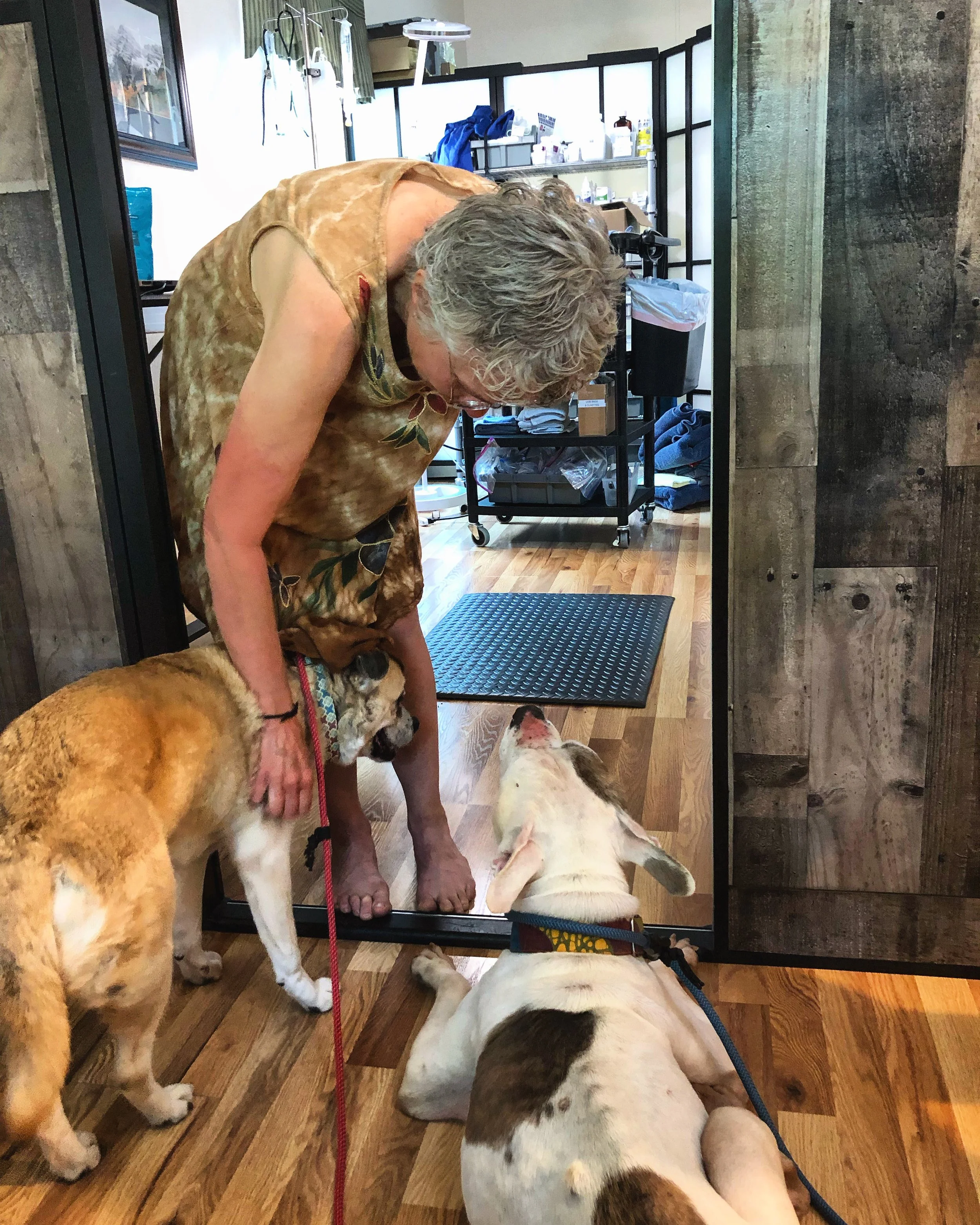 What If True Pet Wellness Meant Needing the Vet Less?