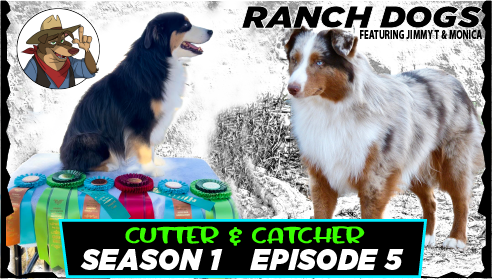 Season 1 • Episode 5 — Cutter & Catcher: From Horseshoes to Handlers