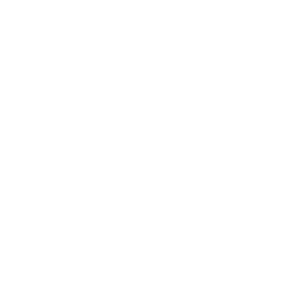 fST-web assets-25.png