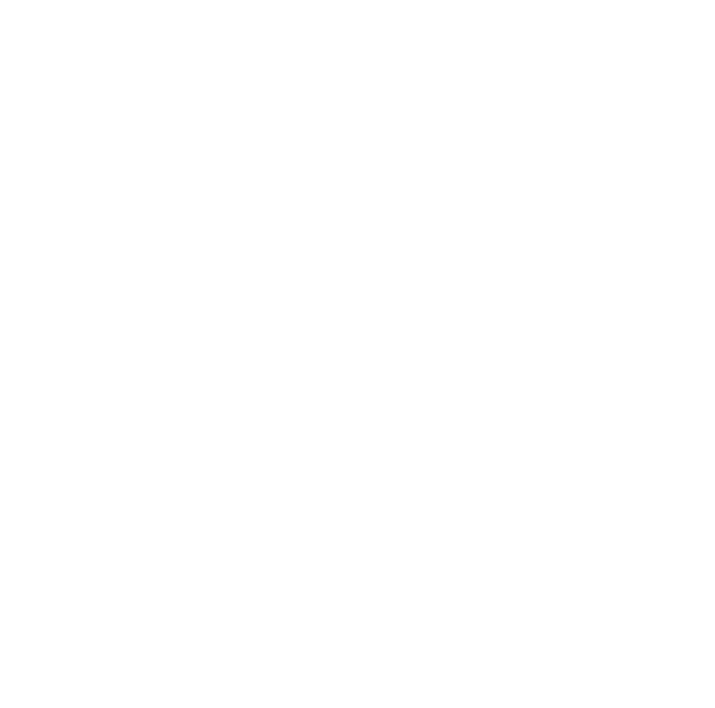 fST-web assets-24.png