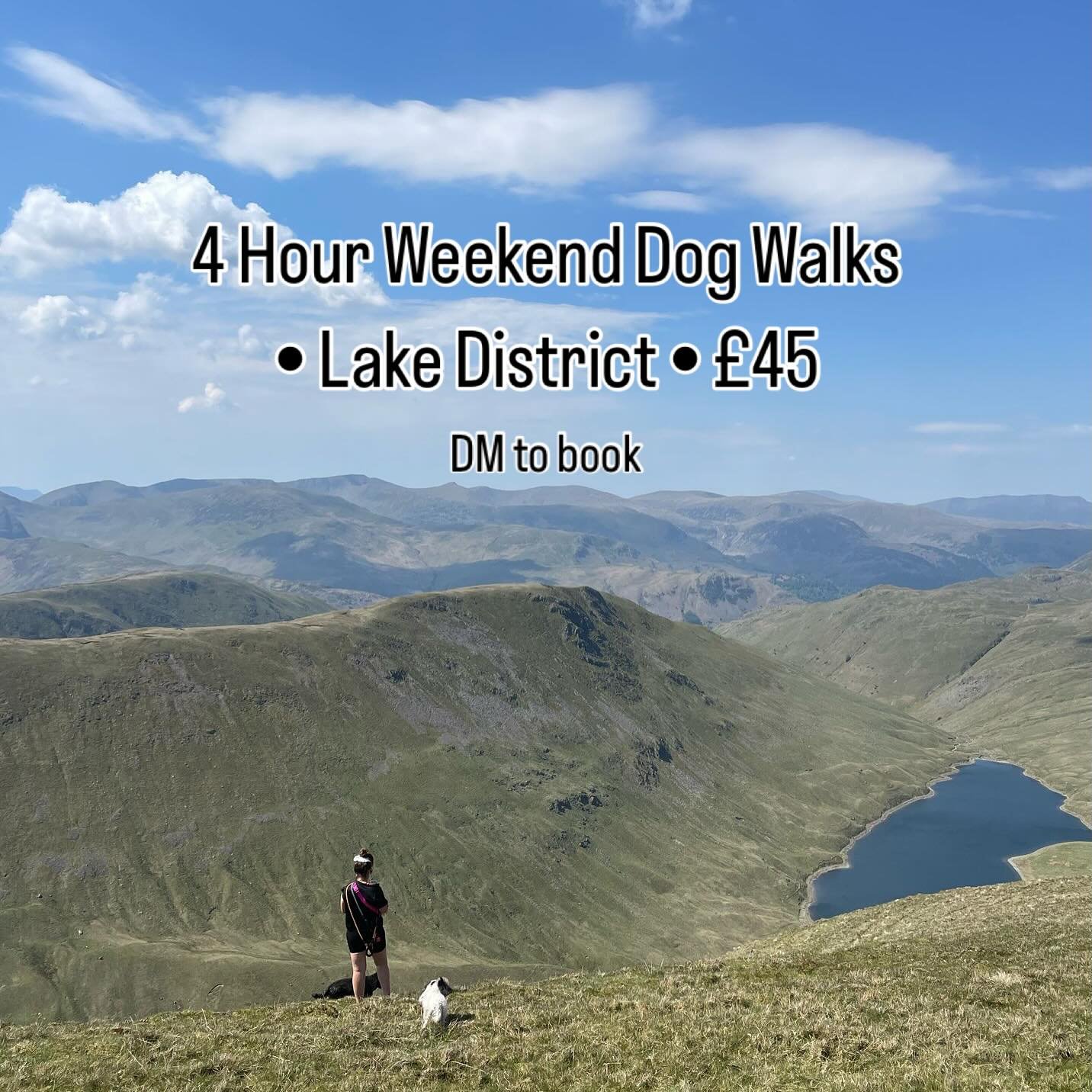 ✨ Weekend Wanders are here! 🌿🐾

Join us for a 4 hour adventure session in the Lake District, exploring fells, splashing in waterfalls, and letting your dog live their best life off the beaten track.

These extended walks are perfect for high energy