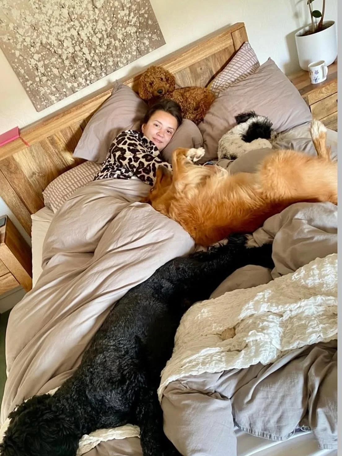 This picture made me laugh, I look exhausted, dogs everywhere, coffee nearby, diary above my head, and absolutely no personal space 😅 
But it also made me proud. I built this from scratch, and even on the tired, messy days, I&rsquo;m grateful for it