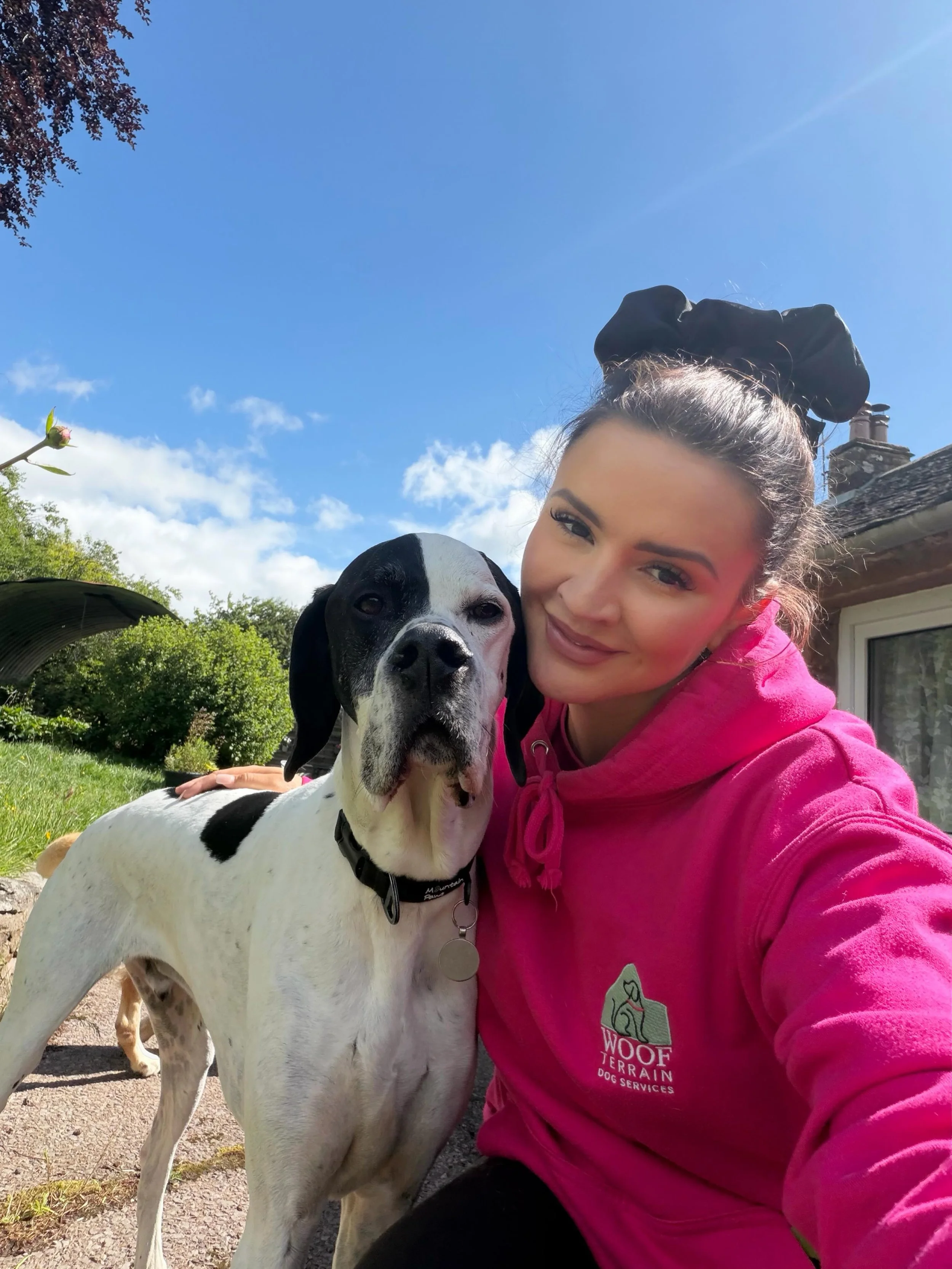 🐾 Meet Zac 🐾

Today&rsquo;s newest recruit and safe to say he&rsquo;s made quite an impression already🖤🤍

A big friendly giant with the loveliest nature, we all absolutely adore him🥹 
Welcome to Woof Terrain Zac❤️

#newboy #dogadventure #doggyda