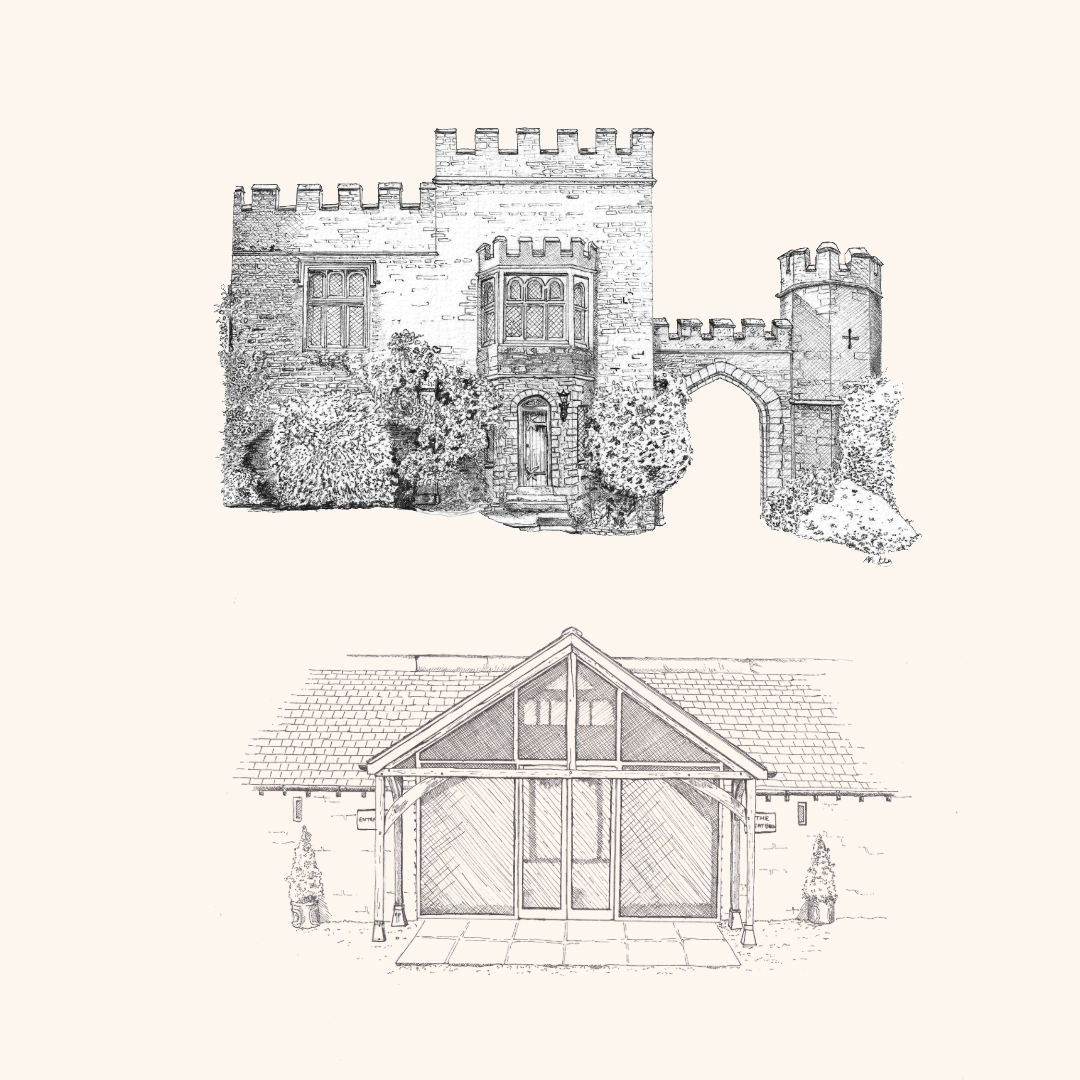 FEATURED ILLUSTRATIONS