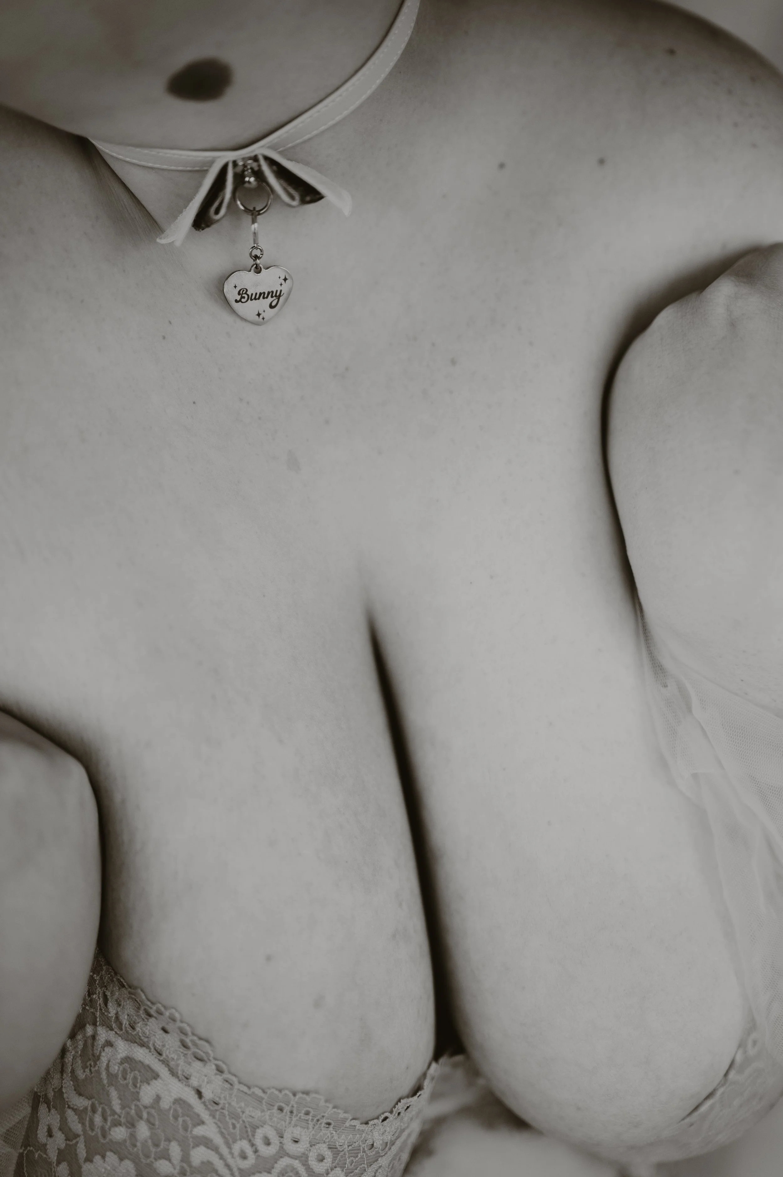 DSC_1955-2.jpg