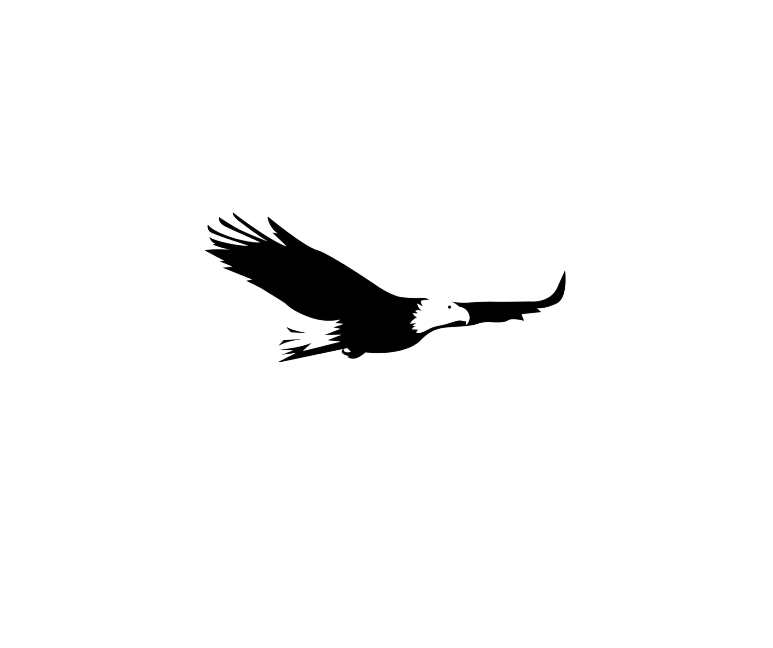 About Eagle Pointe Apartments about-eagle-pointe-apartments