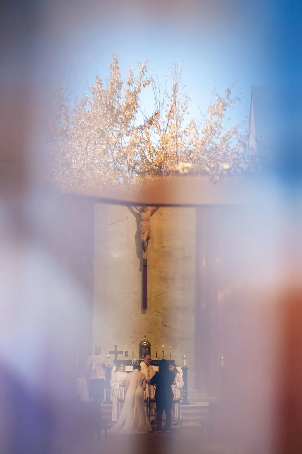 Deanna Johnson Photography-1065.jpg