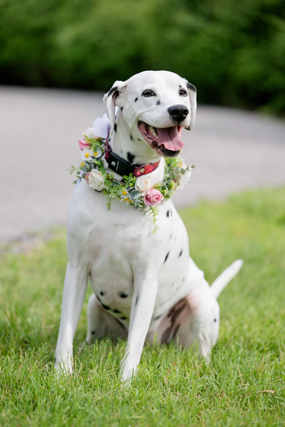 Deanna Johnson Photography-1104.jpg