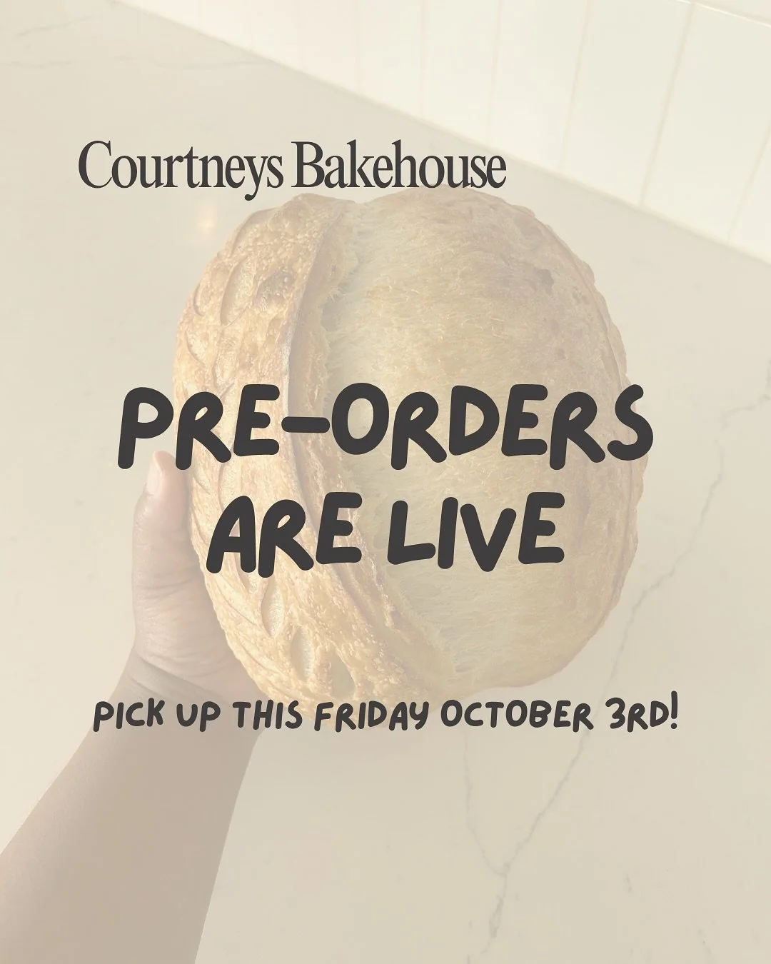 Pre-orders are officially LIVE for this weekend! 🥖✨

Pick up your sourdough + treats this Friday at First Friday at @hiveon16th , 6&ndash;9 PM. Get your favorites locked in now before they sell out&mdash;limited extras will be available at the event