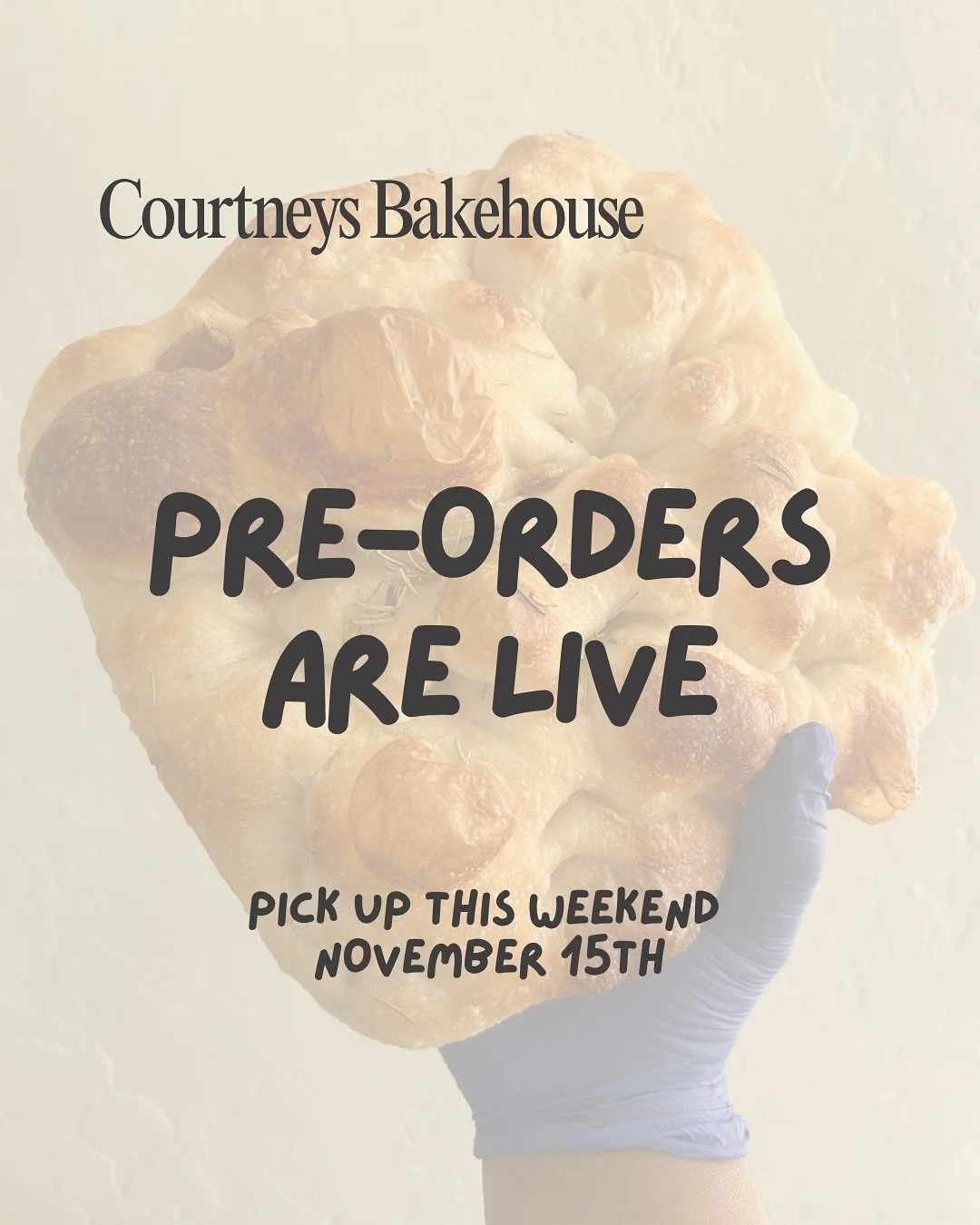 Fresh-baked sourdough is coming your way this week! Limited pre-orders are open NOW through Wednesday, November 12th&mdash;grab your favorites before they&rsquo;re gone!

📍 Pick-Up: 🌞&nbsp;Saturday, November, 15th &ndash; @hiveon16th 🌚  @pleadingi
