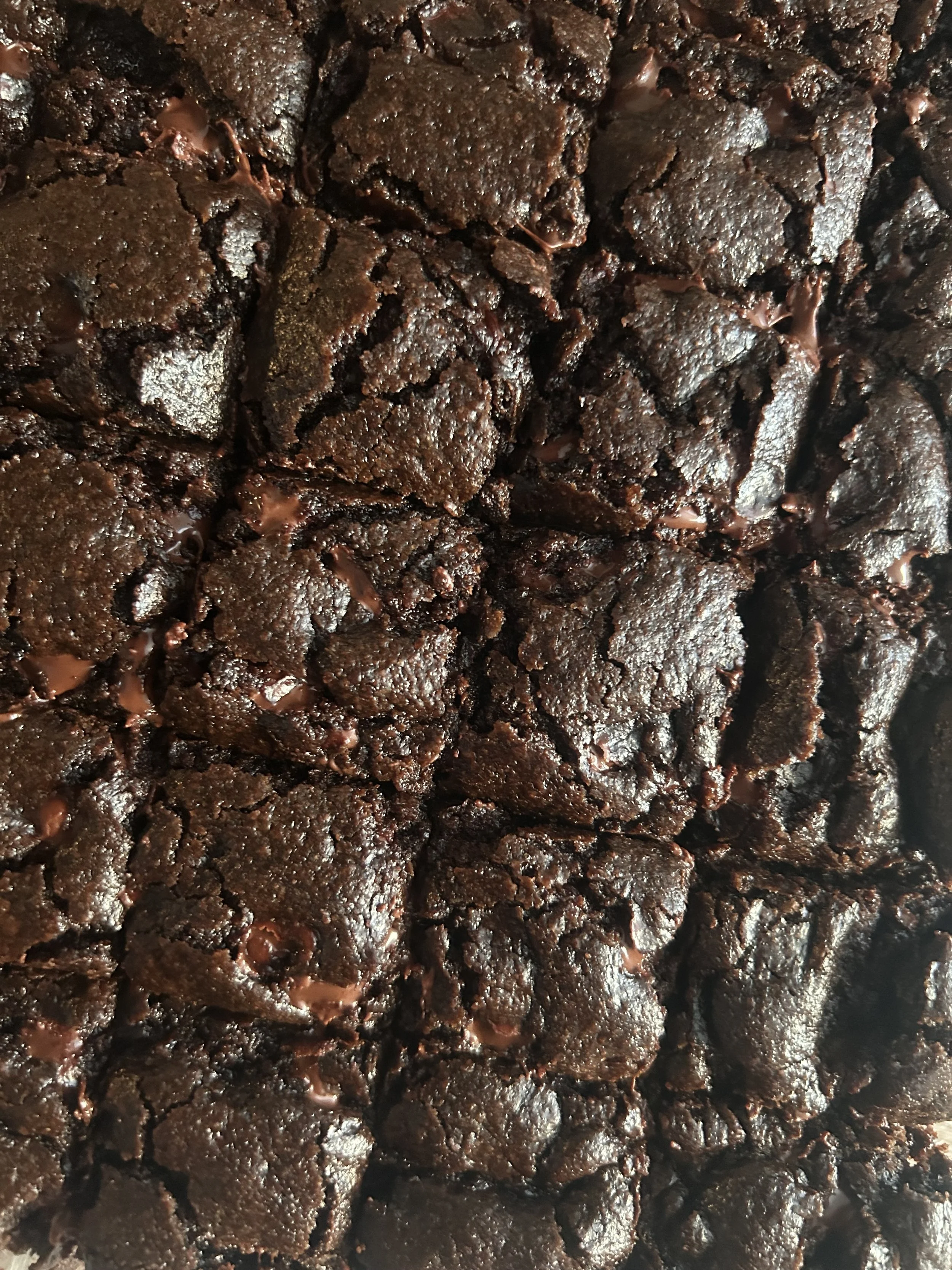 Close-up of a tray of freshly baked chocolate brownies cut into squares.