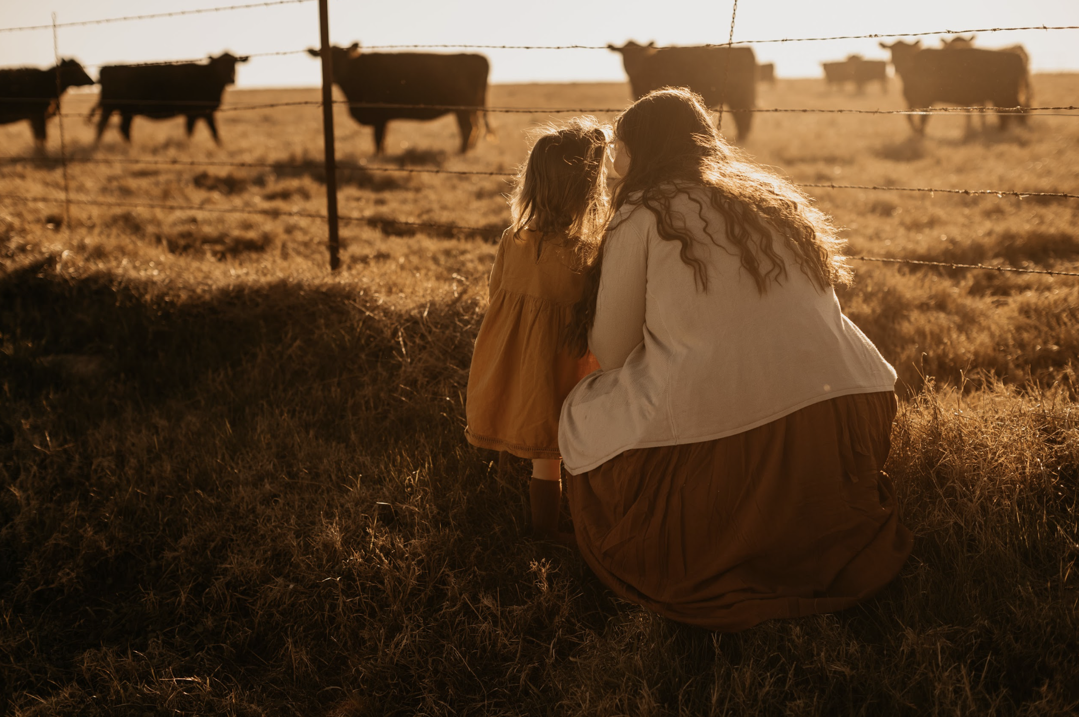 Screen Shot 2026-01-19 at 3.08.21 PM.png