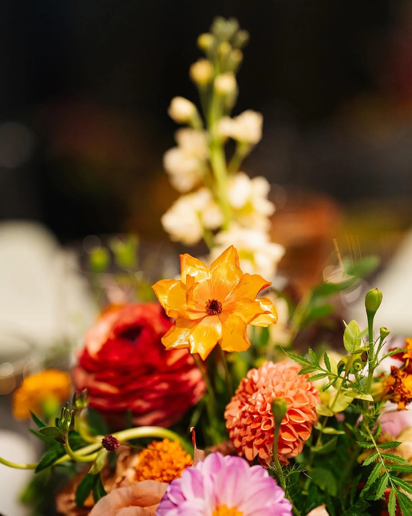 If you love moody vibes, we do too!

Bookings for 2026 &amp; 2027 weddings are open. 

Visit www.stemsnh.com to inquire. 💌 

Venue - @oliopeabody
Photographer - @daniellelittlesphoto
2nd Photographer @amandabouleyphotography