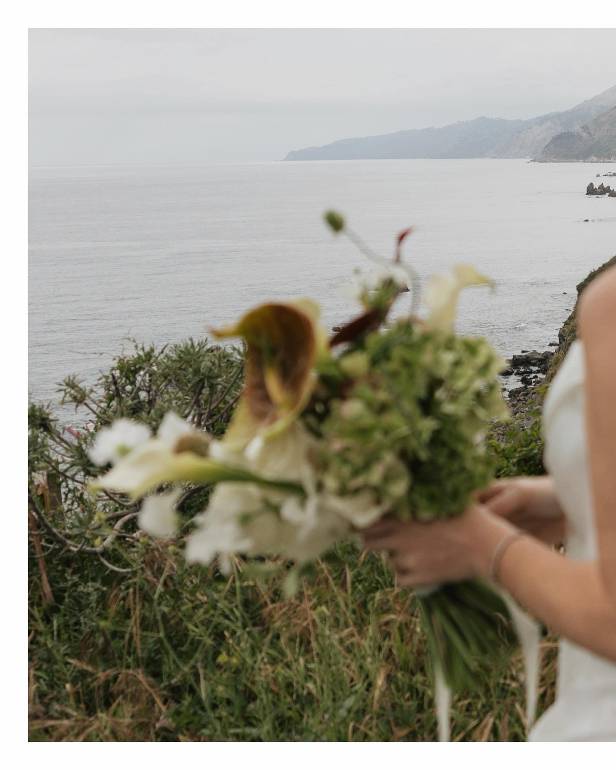 It&rsquo;s all about the details. 

Greg &amp; Sarah
Big Sur
🎞️ @jillian_blanc
