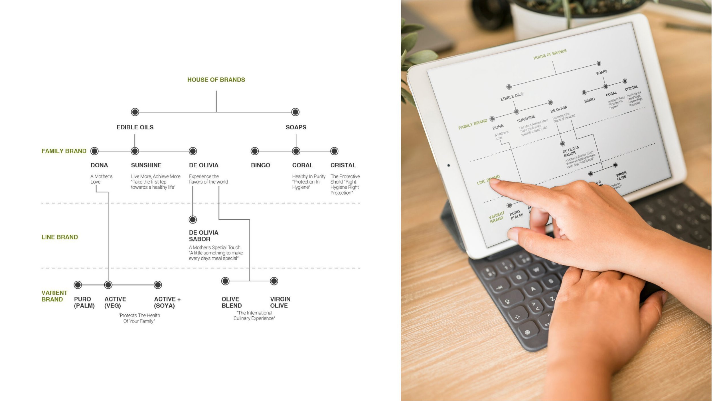 Brand-Architecture-New-01-scaled.jpeg
