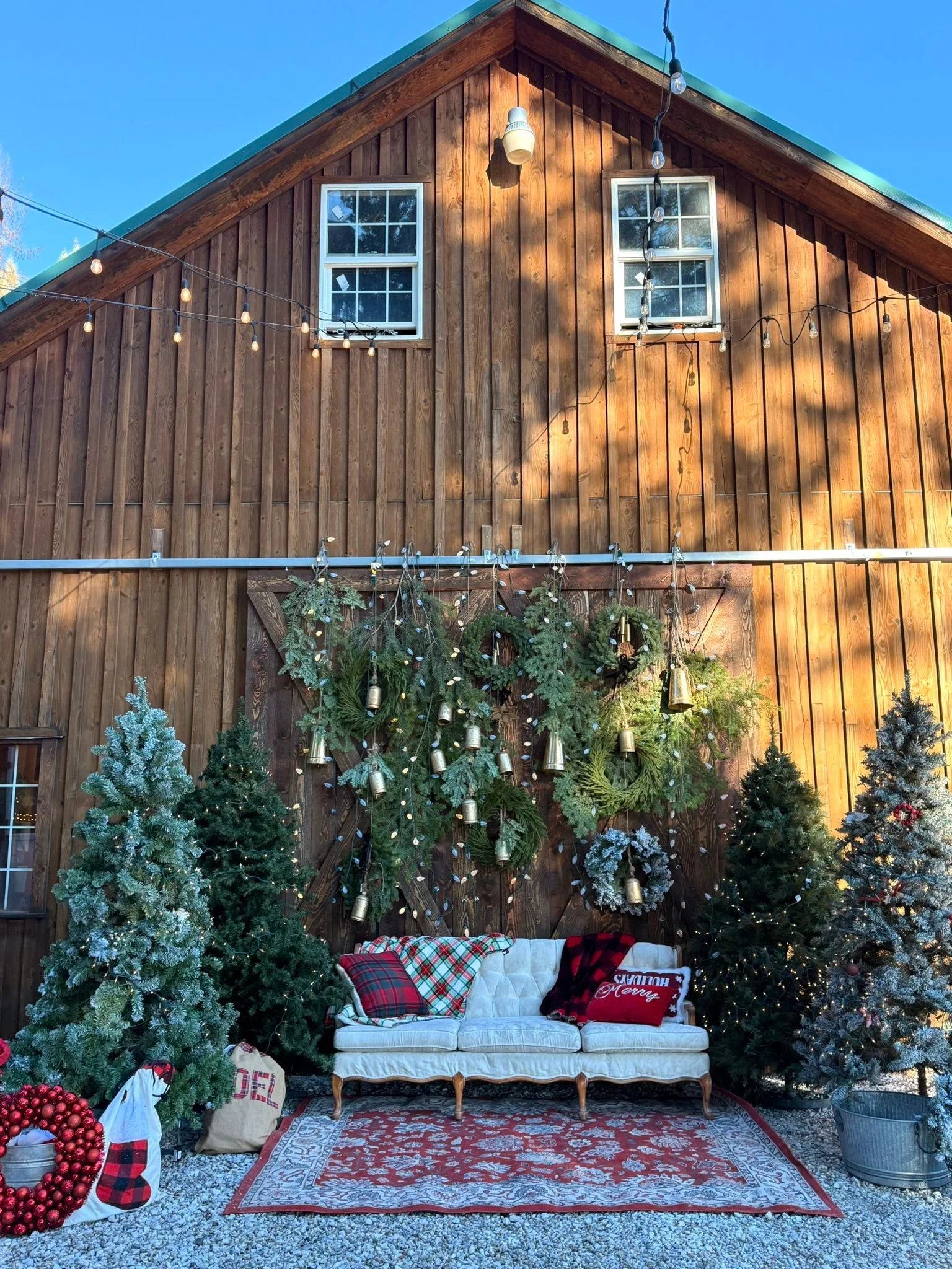 At The Wild Rabbit! Perfect day for a winter mini!